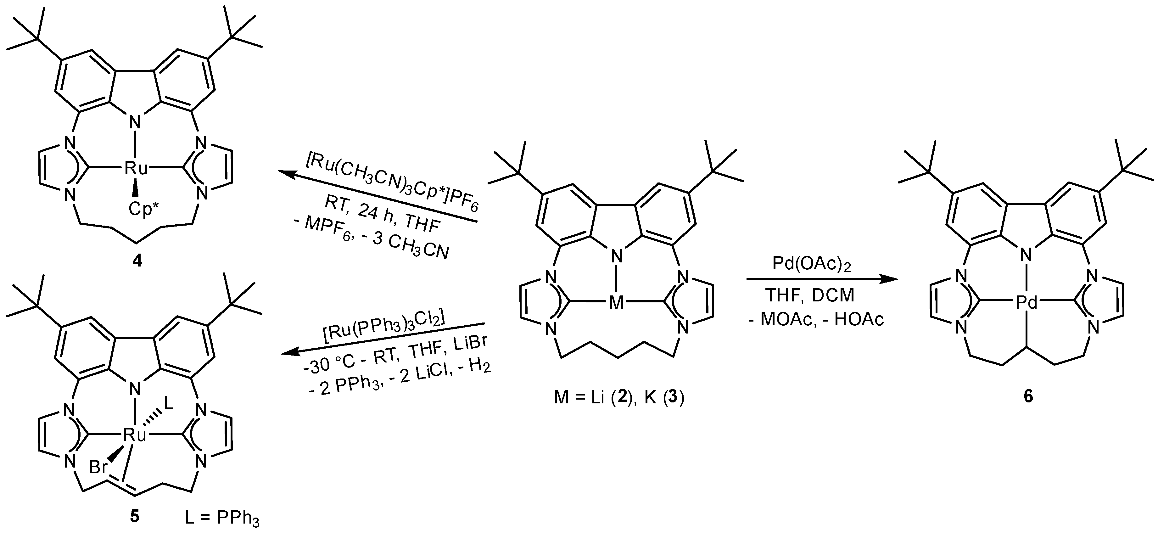 Molecules 26 01669 sch002 Molecules 26 01669 sch002