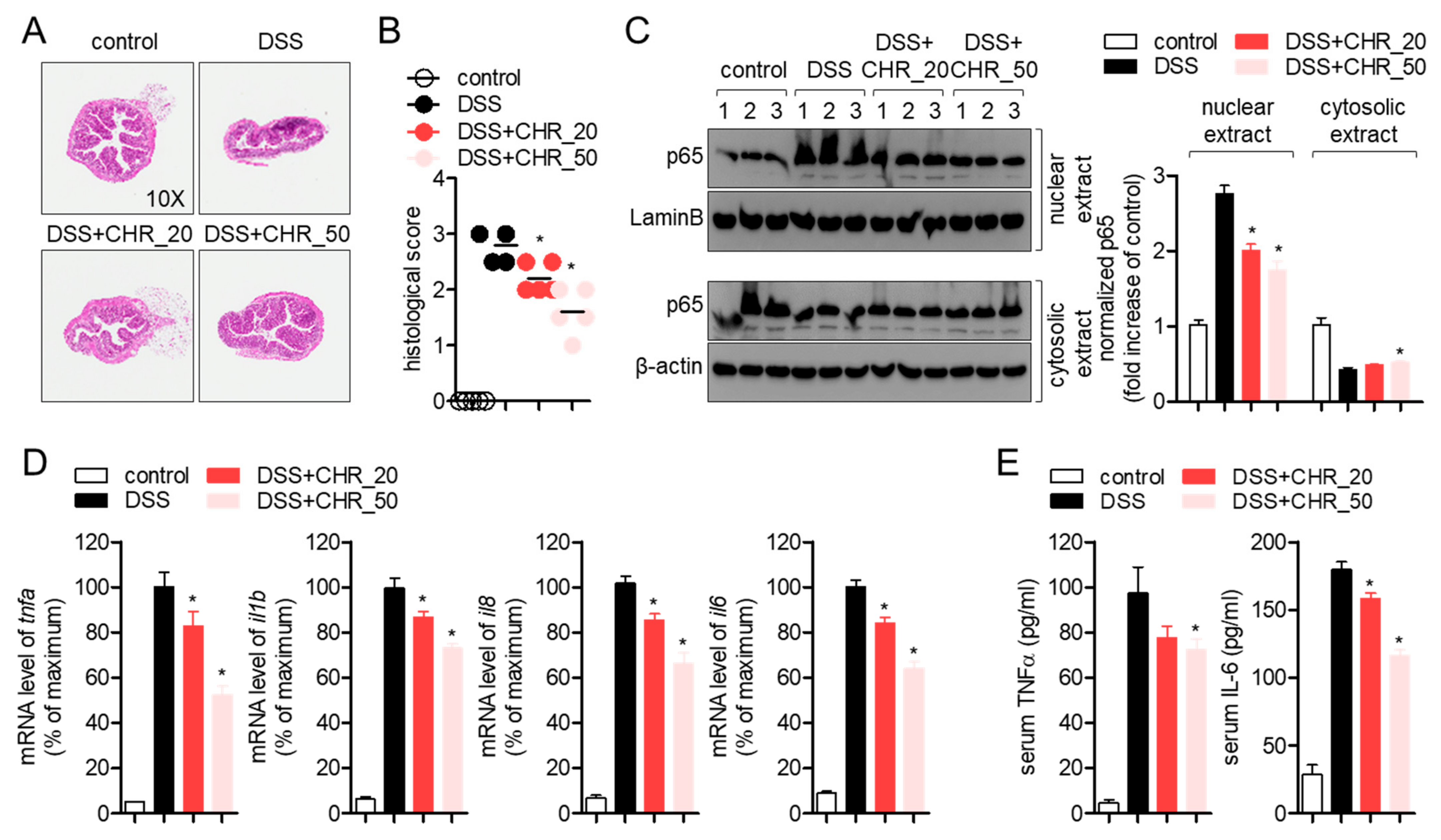Molecules 26 01682 g005
