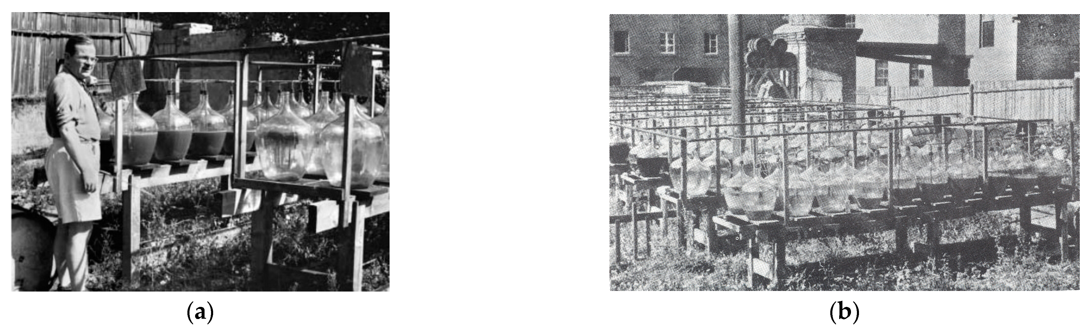 Molecules 26 01685 g002