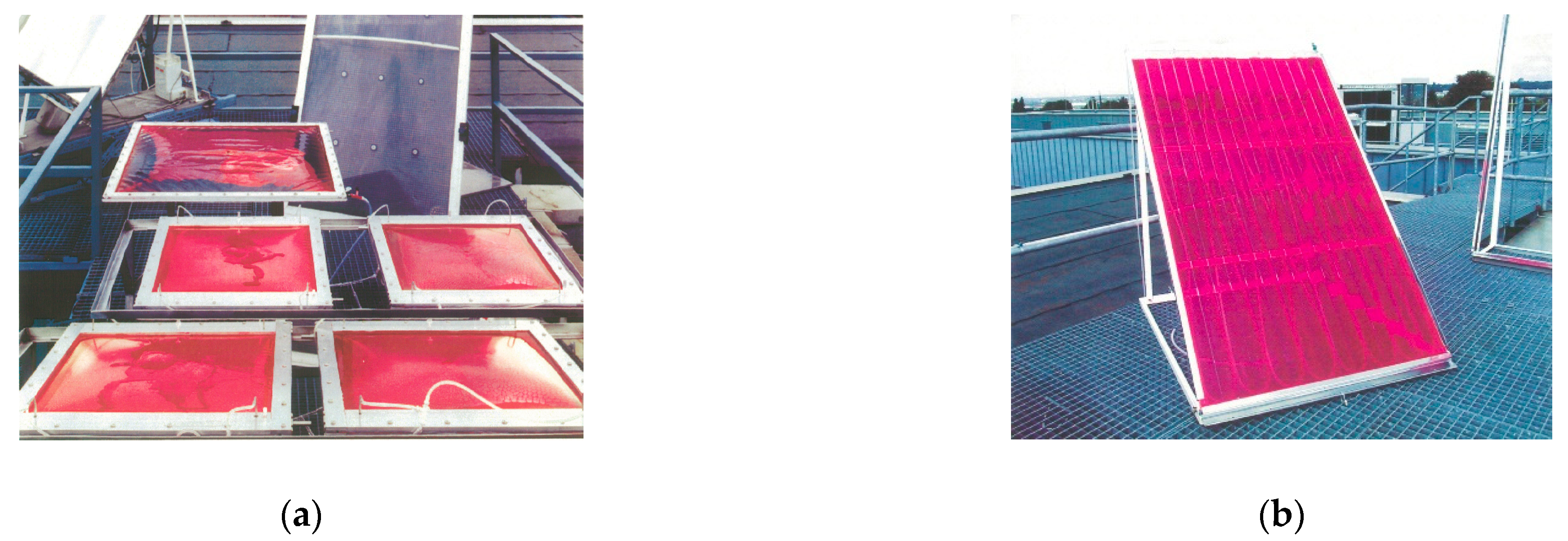 Molecules 26 01685 g004