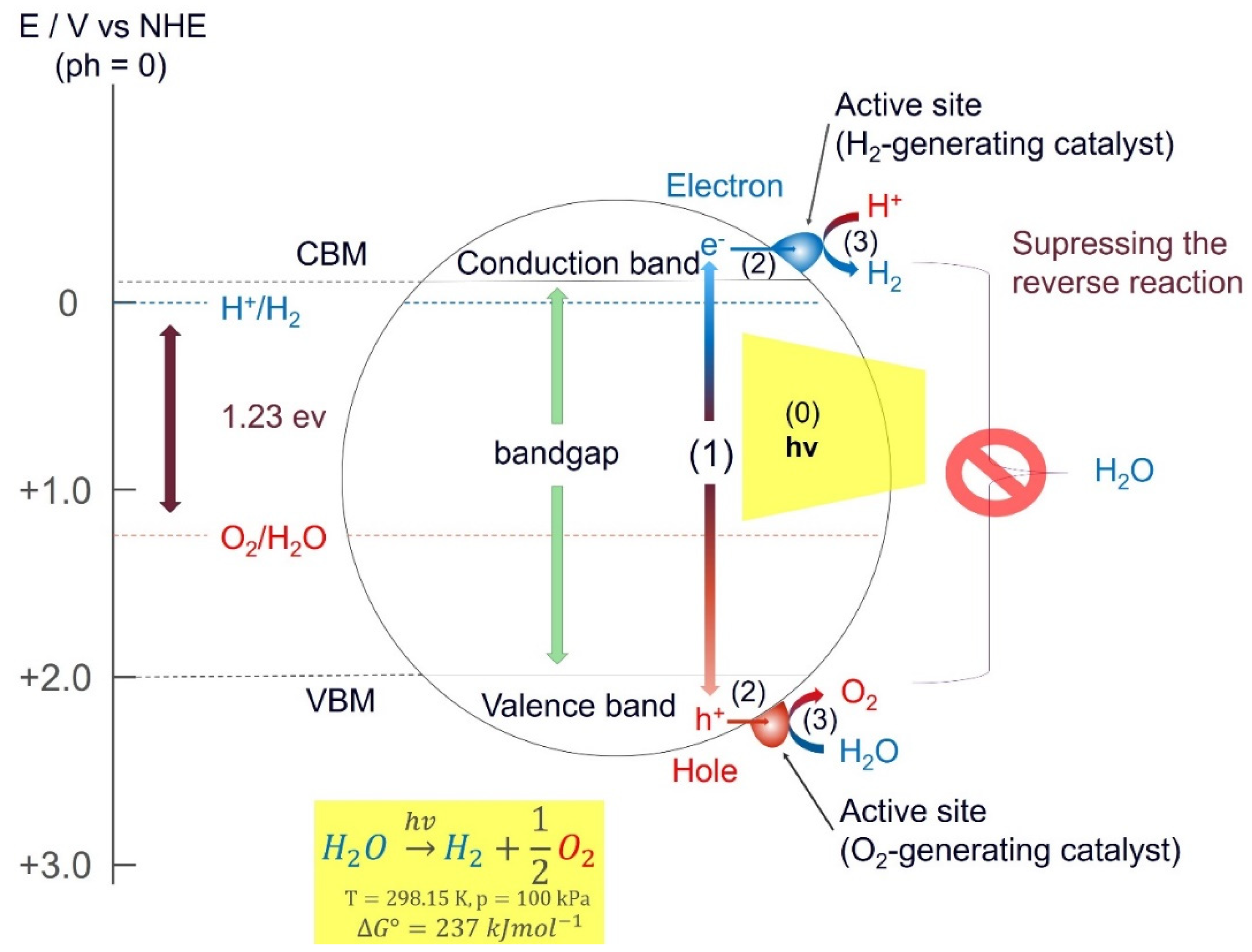 Molecules 26 01687 g003 Molecules 26 01687 g003