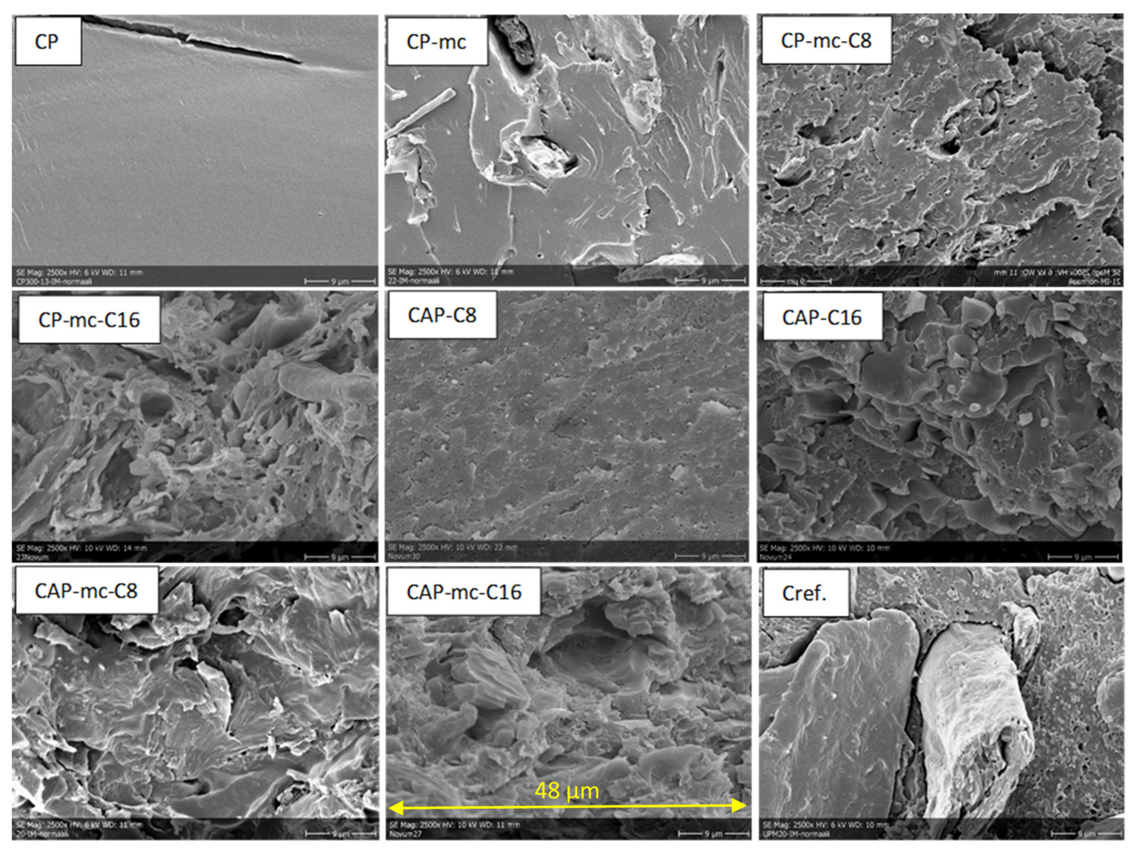 Molecules 26 01701 g004 Molecules 26 01701 g004