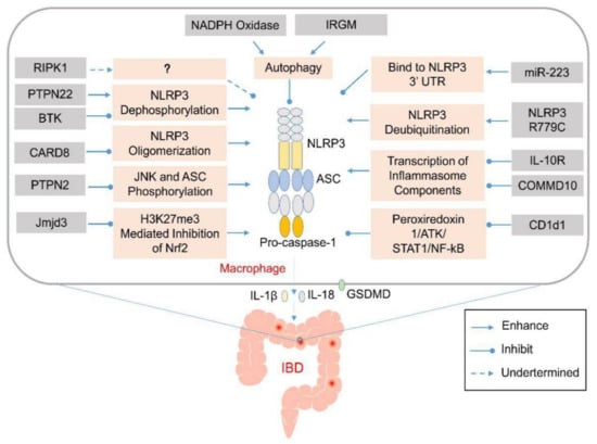 Therapeutic modulation of inflammasome pathways - Chauhan - 2020