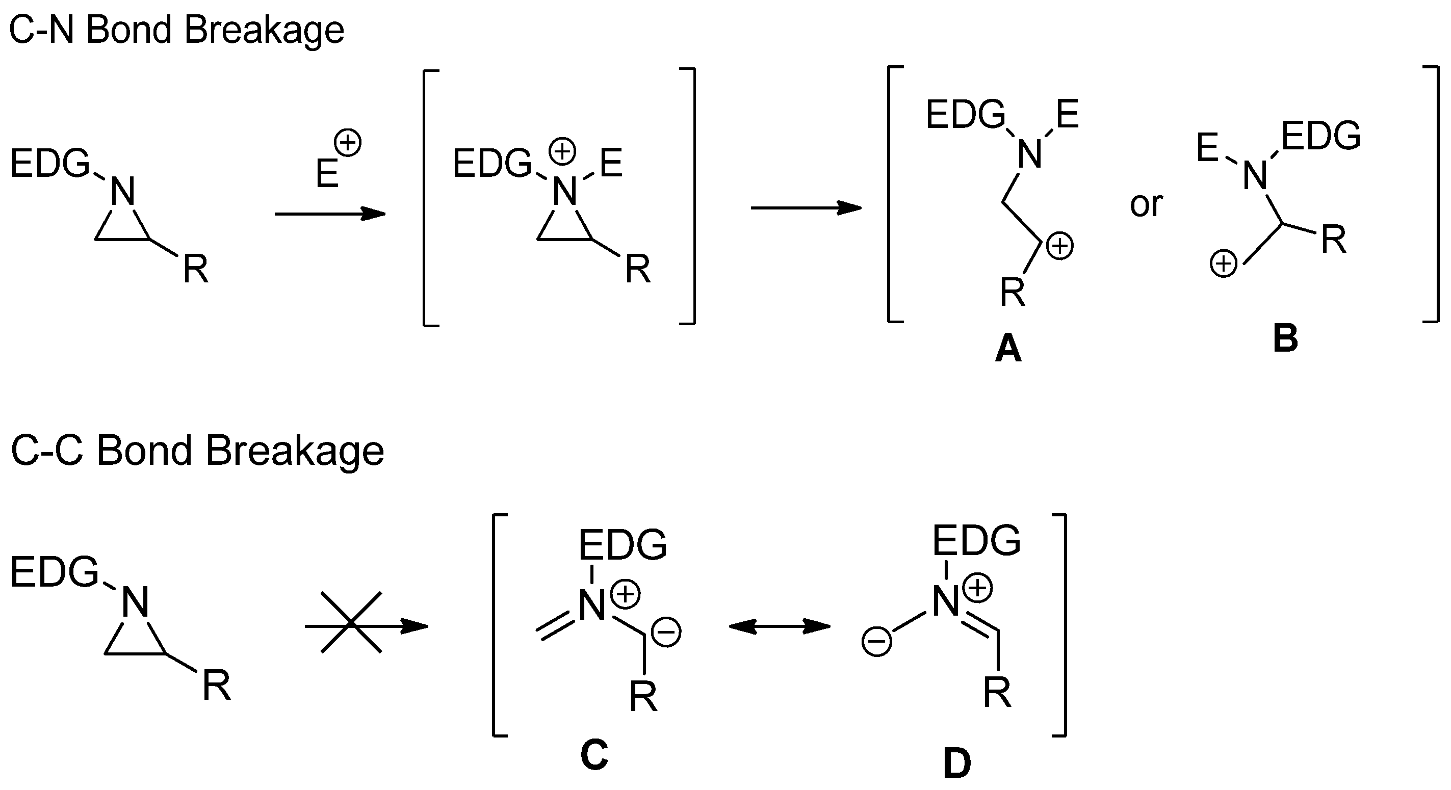 Molecules 26 01774 sch001 Molecules 26 01774 sch001
