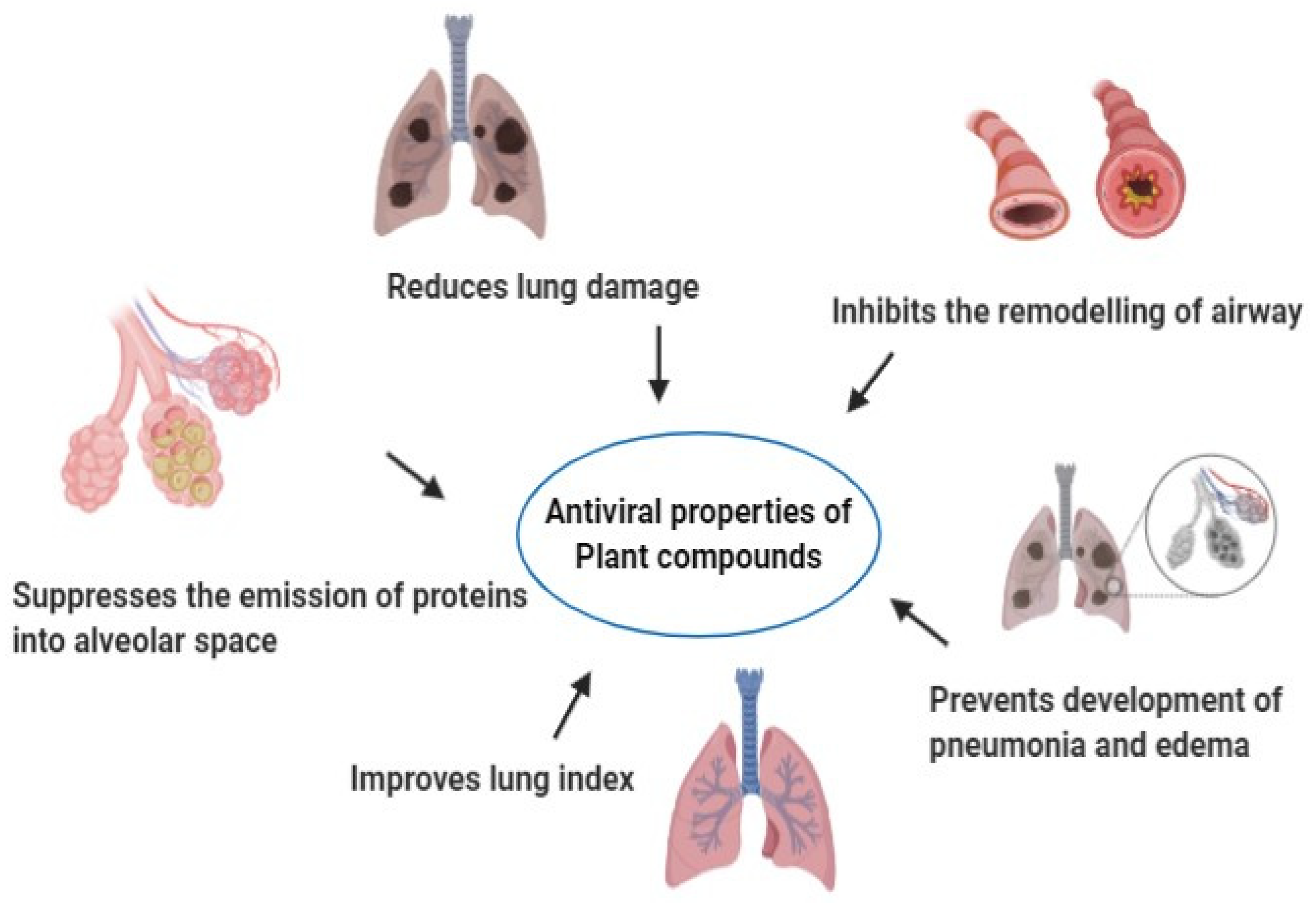 Molecules Free Full Text Medicinal Plants Phytochemicals And Herbs To Combat Viral Pathogens Including Sars Cov 2 Html