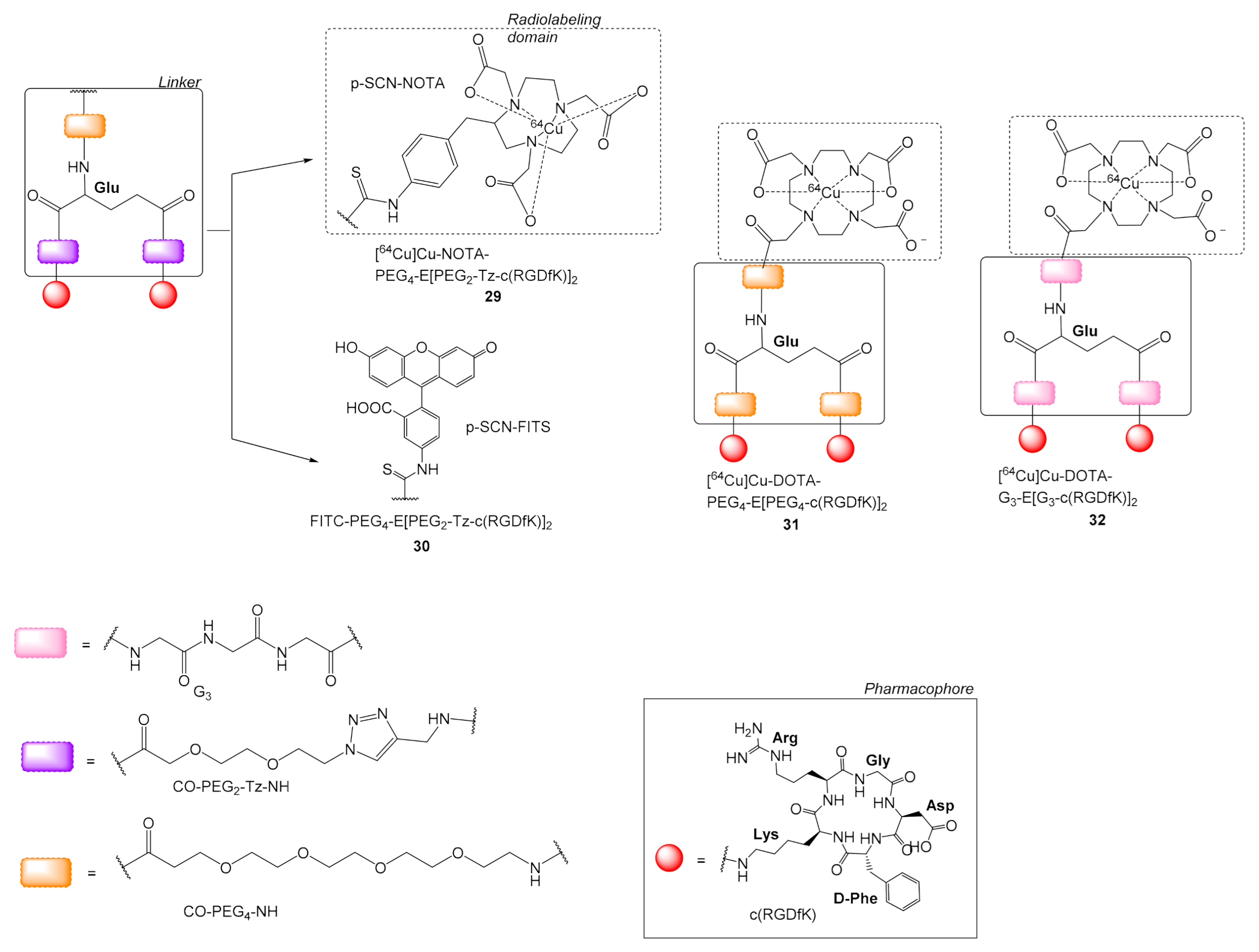 Molecules Free Full Text Pet Diagnostic Molecules Utilizing Multimeric Cyclic Rgd Peptide Analogs For Imaging Integrin Avb3 Receptors Html