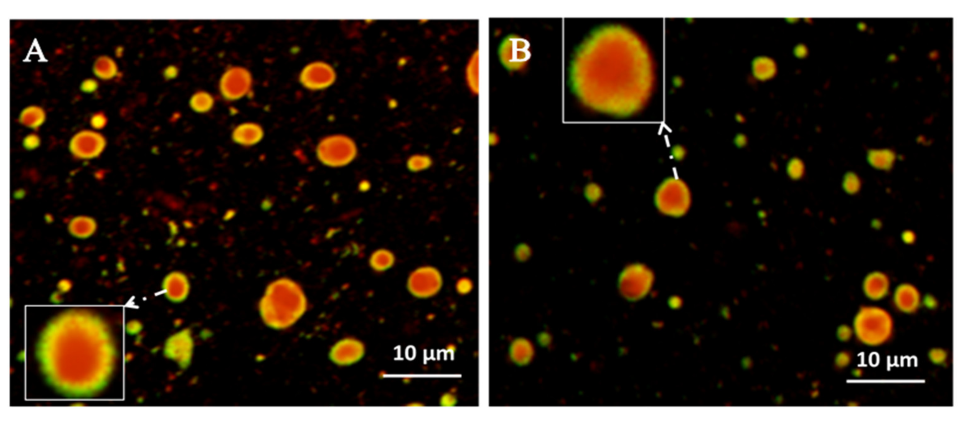 Molecules 26 01809 g006 Molecules 26 01809 g006