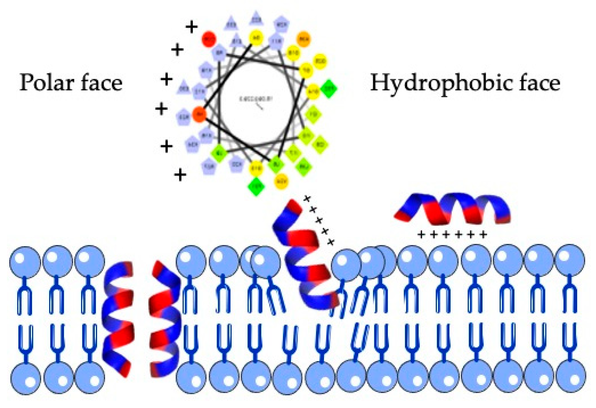 Molecules 26 01811 g003 Molecules 26 01811 g003