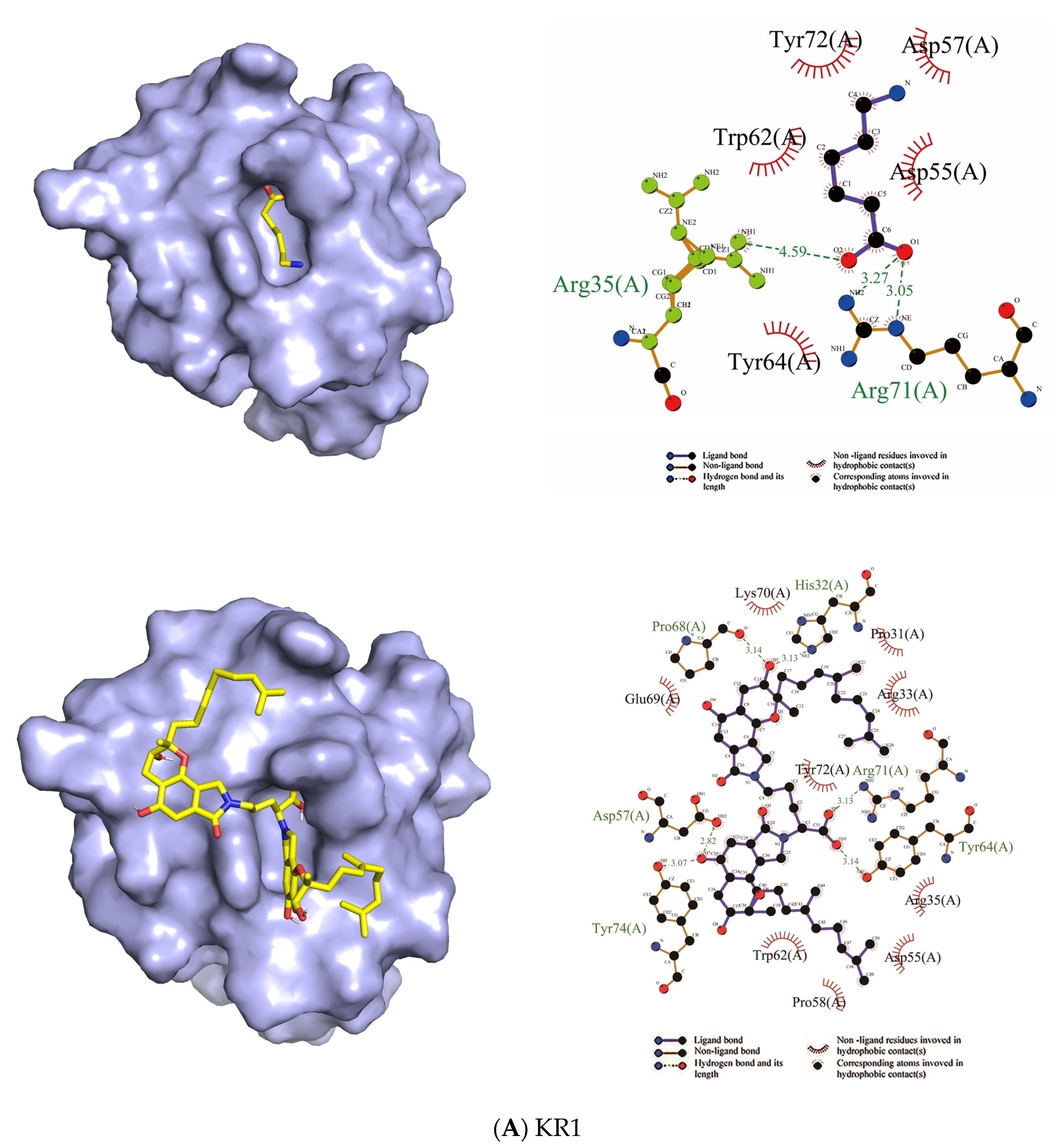 Molecules 26 01816 g007a