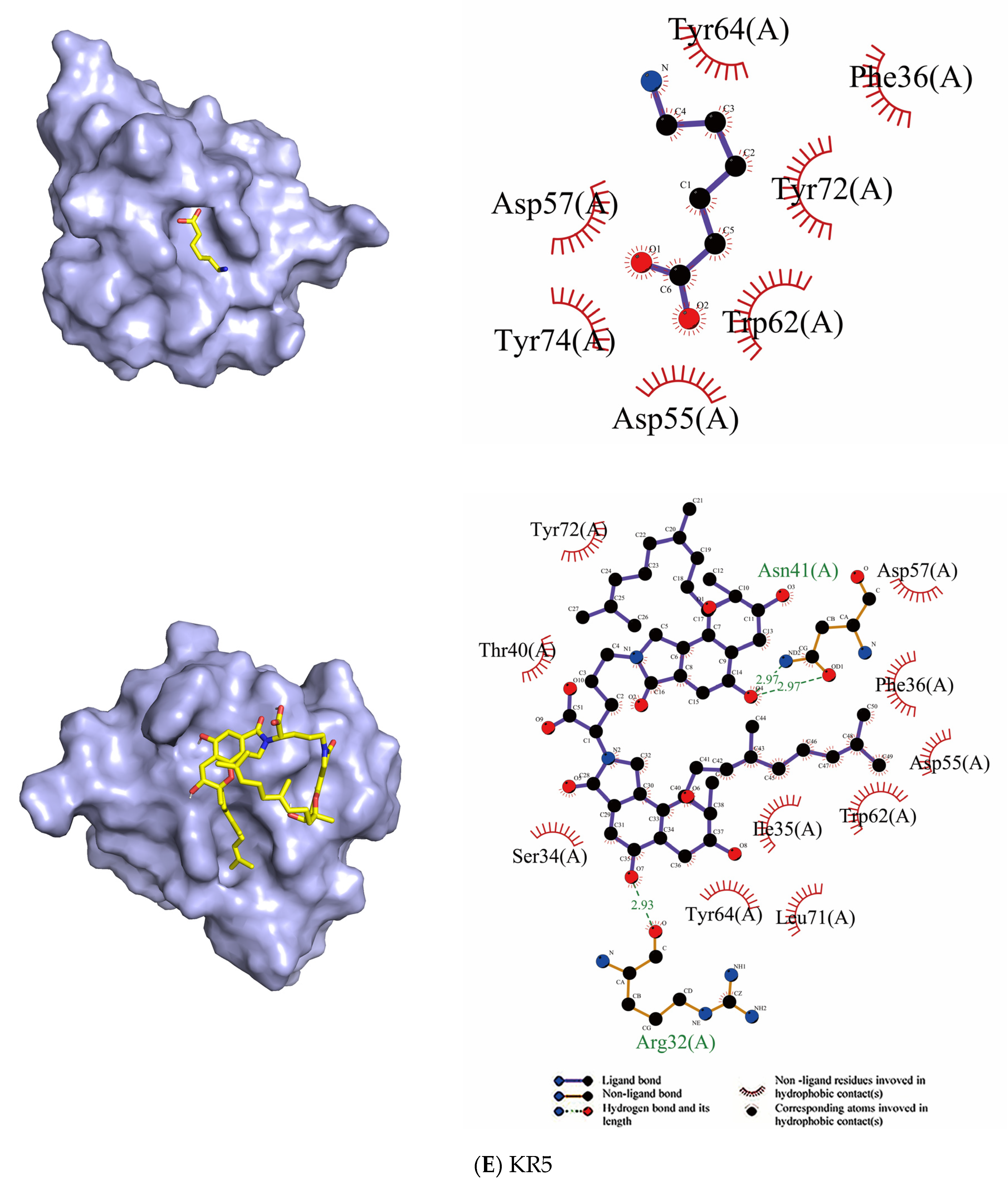 Molecules 26 01816 g007e