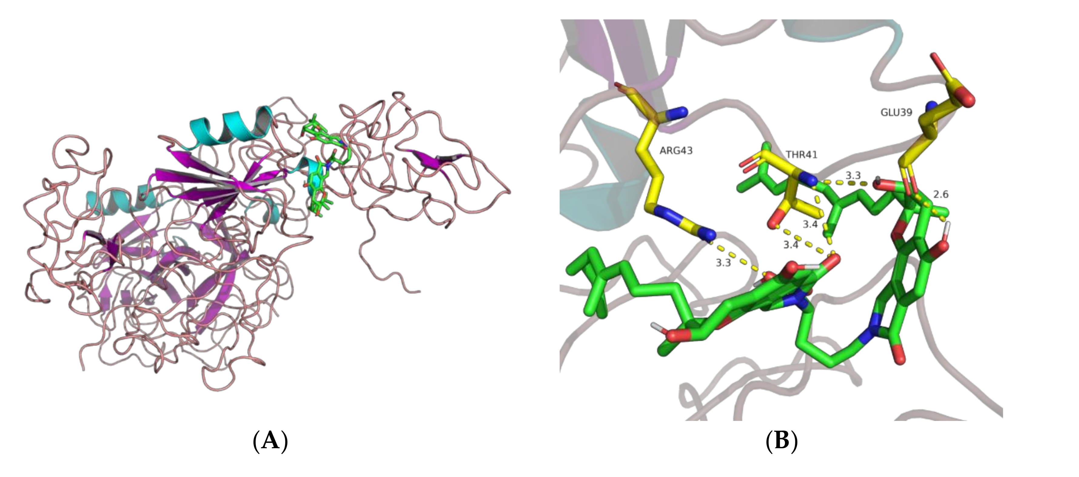 Molecules 26 01816 g008