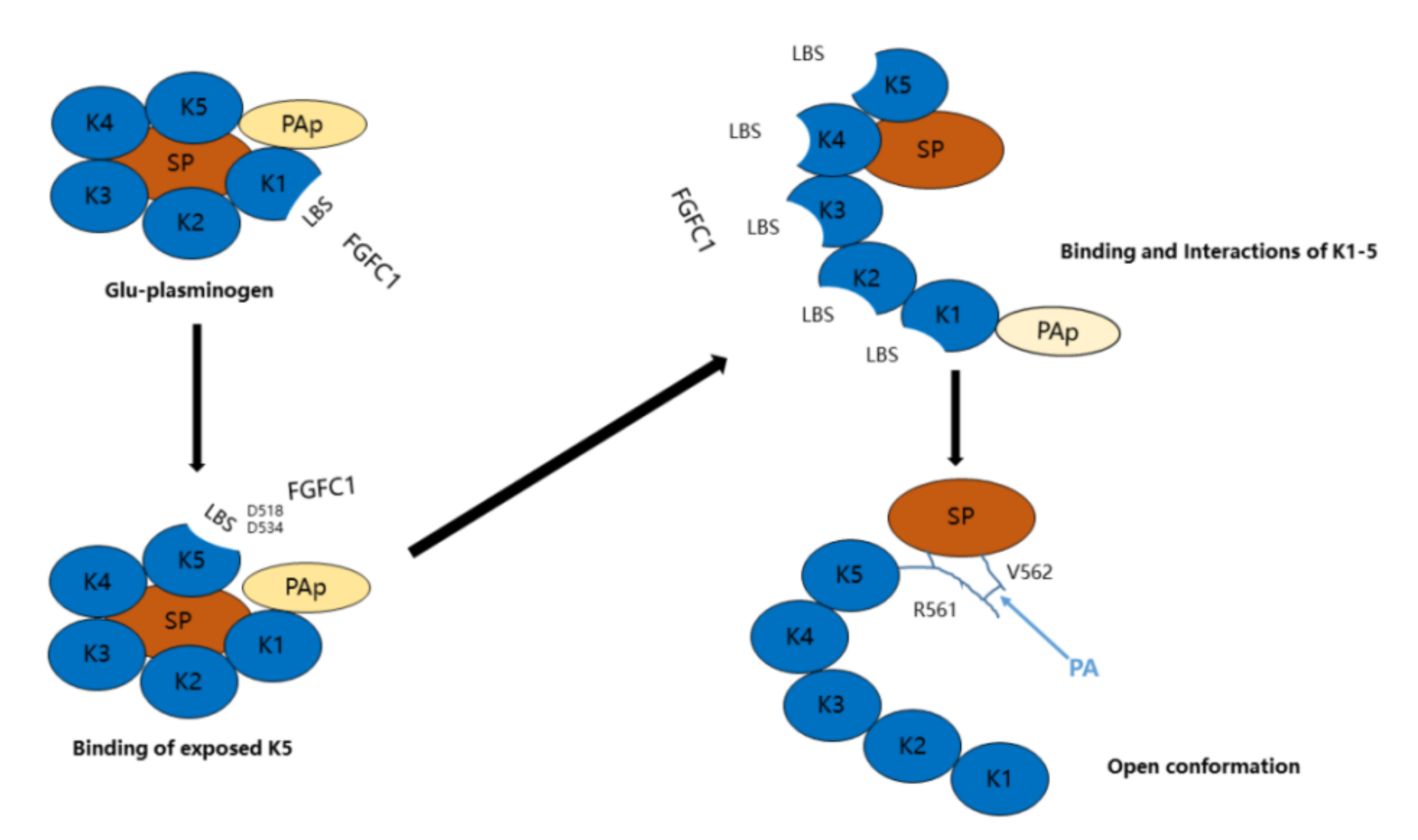 Molecules 26 01816 g009
