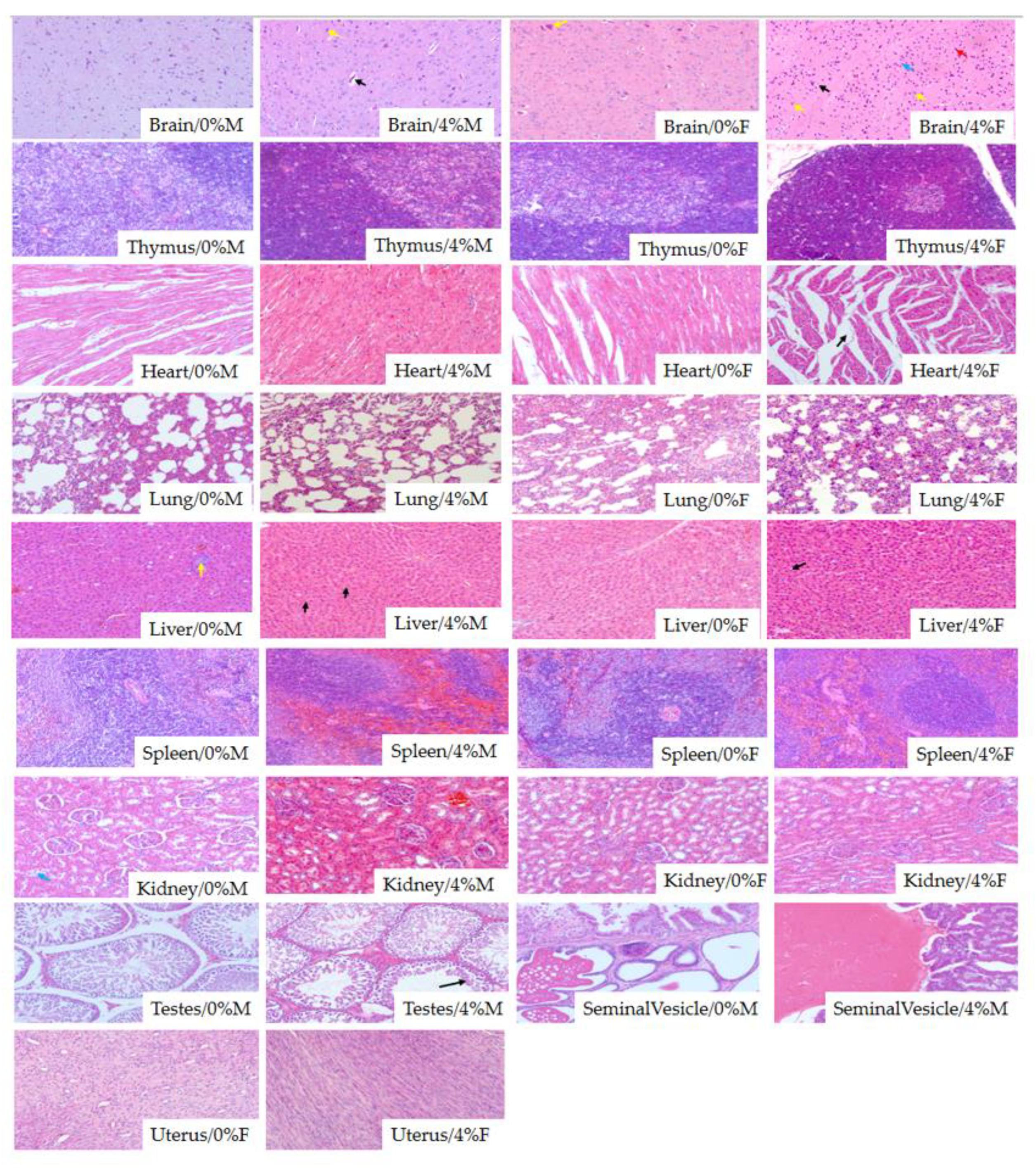 Molecules 26 01824 g005 Molecules 26 01824 g005
