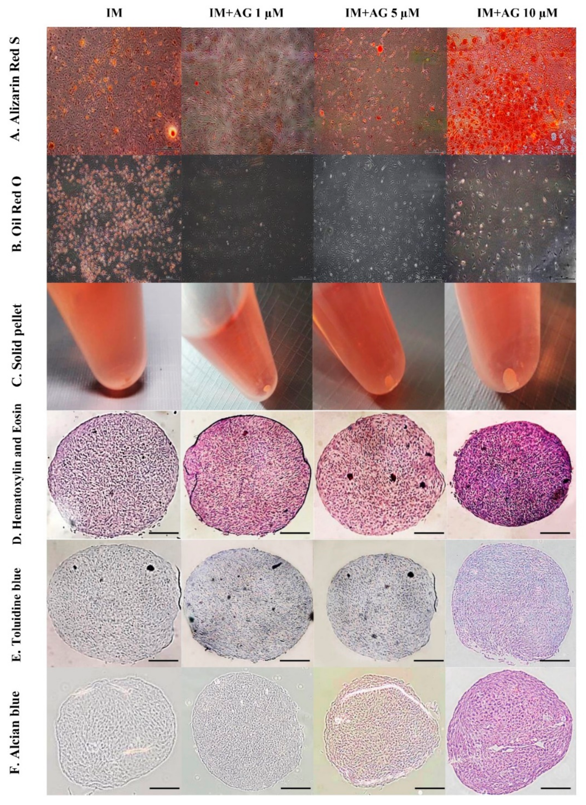 Molecules 26 01831 g004