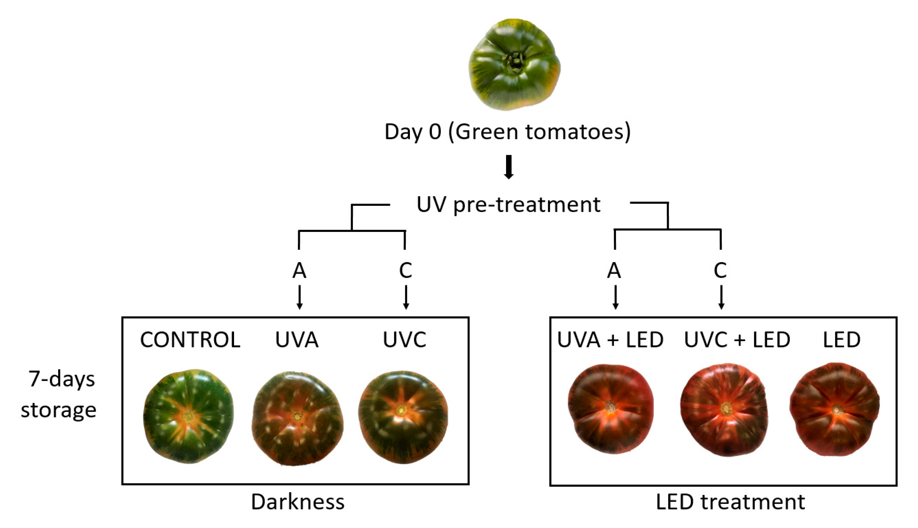 Molecules 26 01847 g003 Molecules 26 01847 g003
