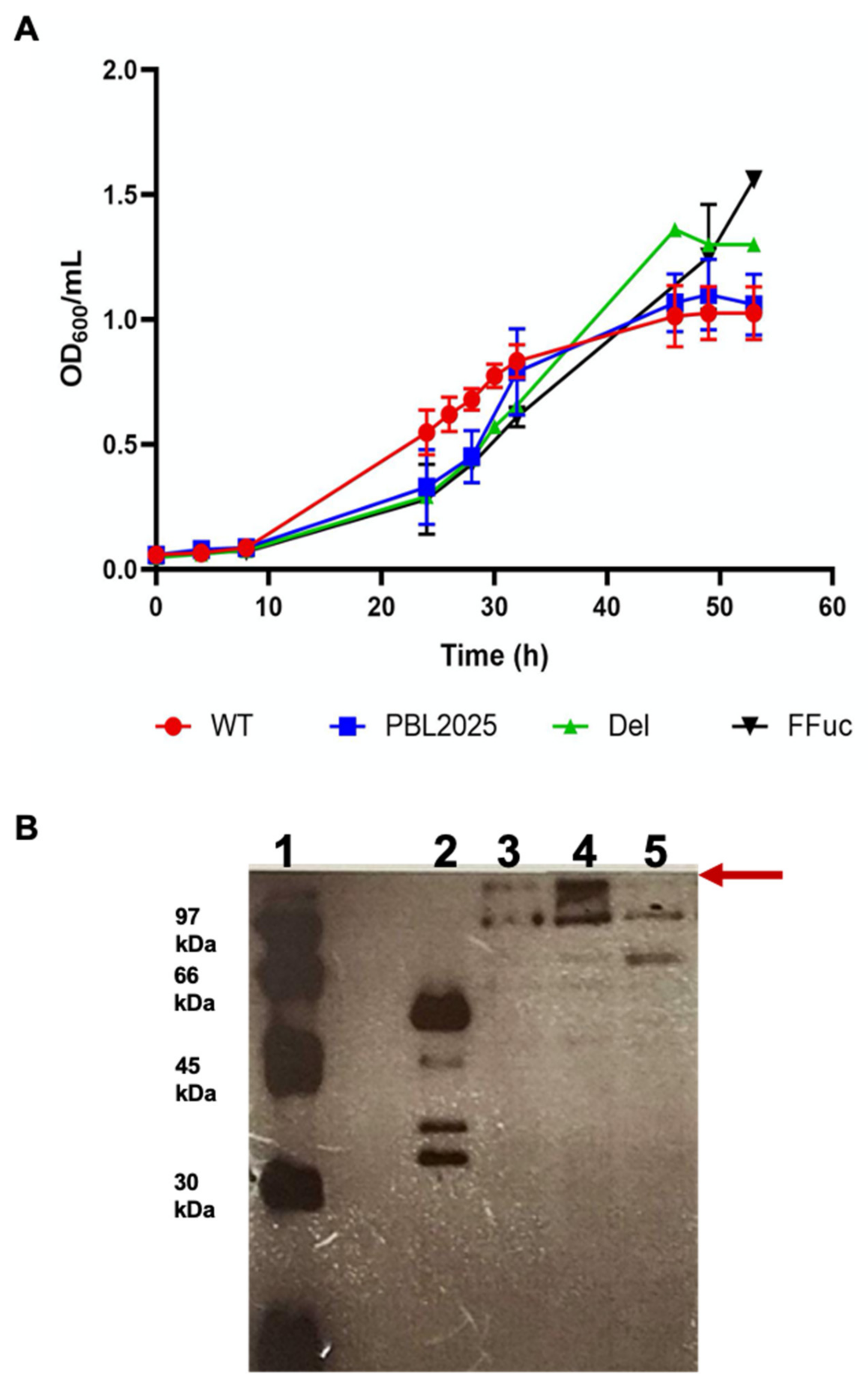 Molecules 26 01861 g002