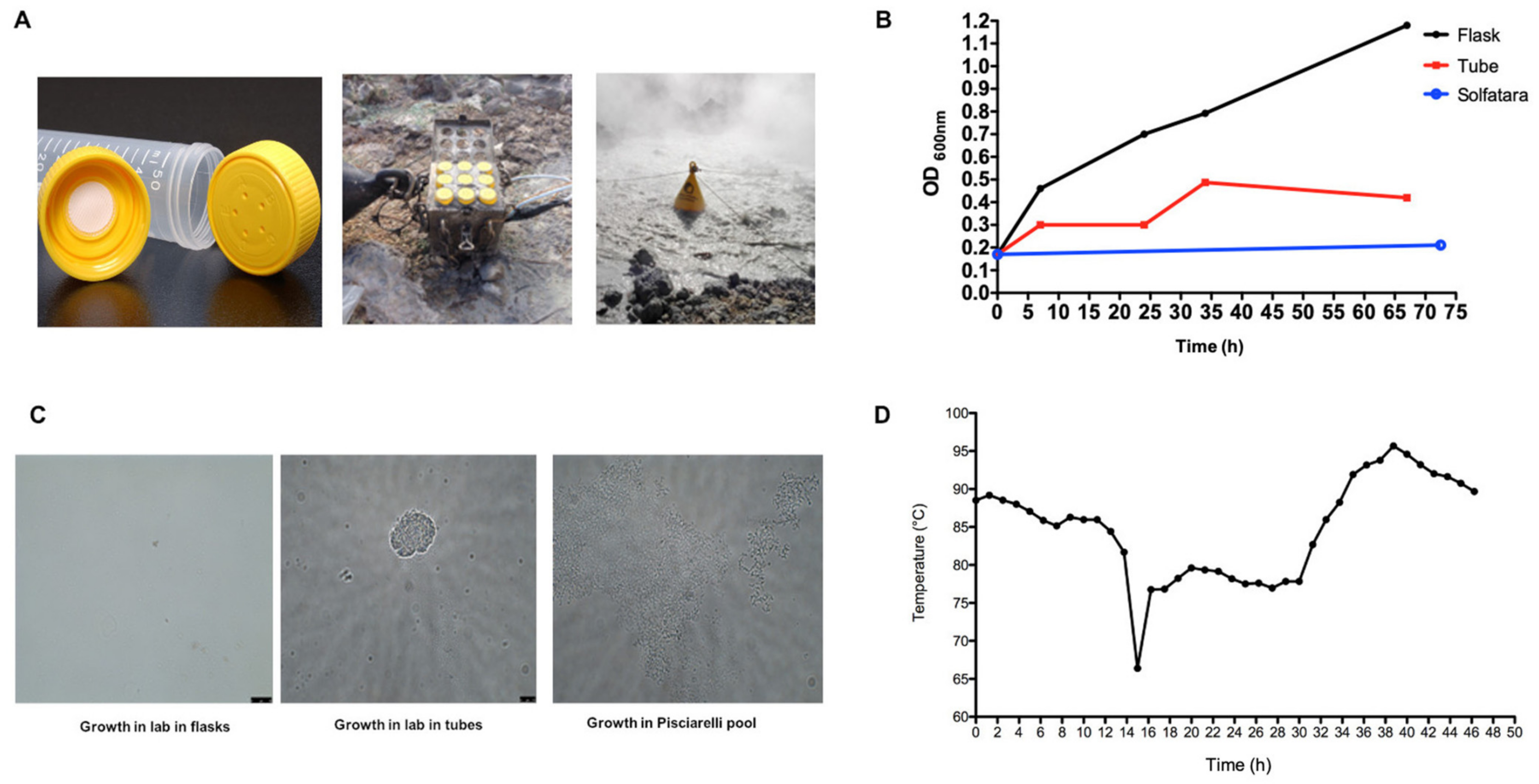 Molecules 26 01861 g004