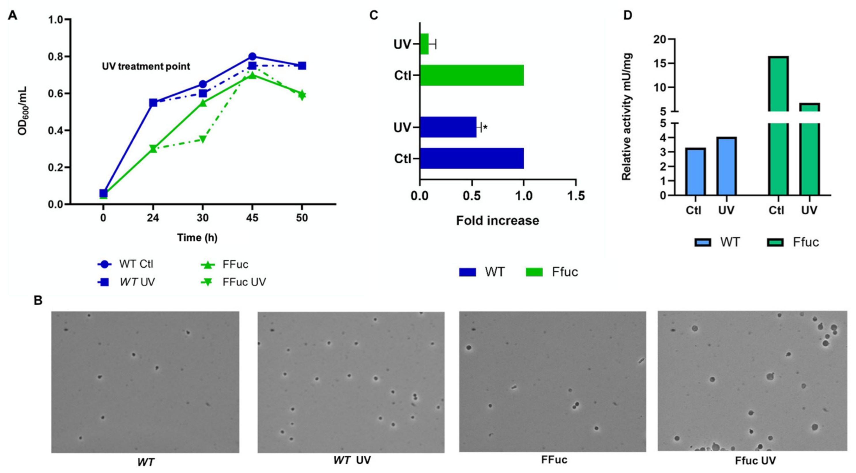 Molecules 26 01861 g006