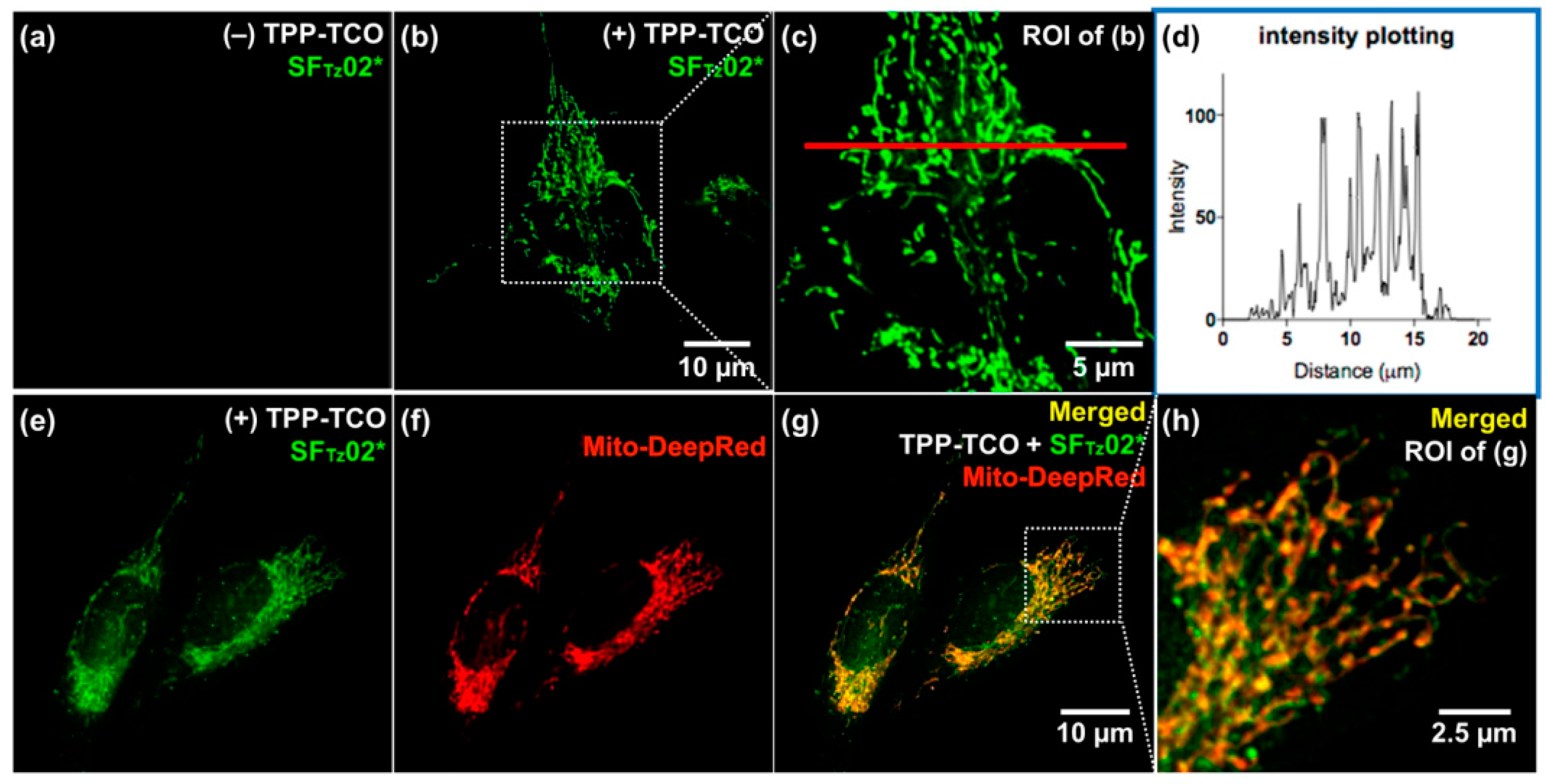 Molecules 26 01868 g007 Molecules 26 01868 g007