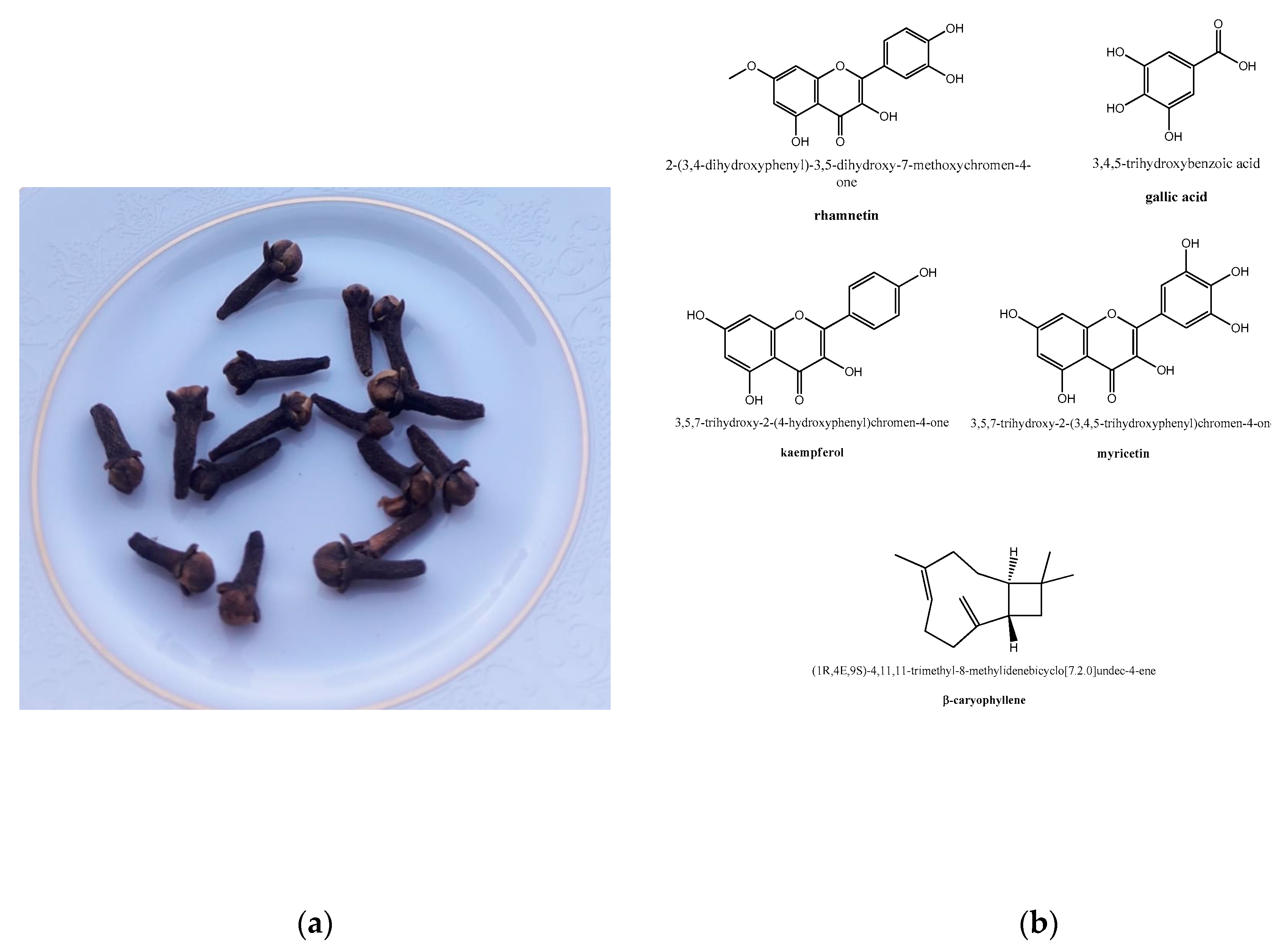 Molecules | Free Full-Text | Molecular Basis of the Therapeutical Potential  of Clove (Syzygium aromaticum L.) and Clues to Its Anti-COVID-19 Utility |  HTML