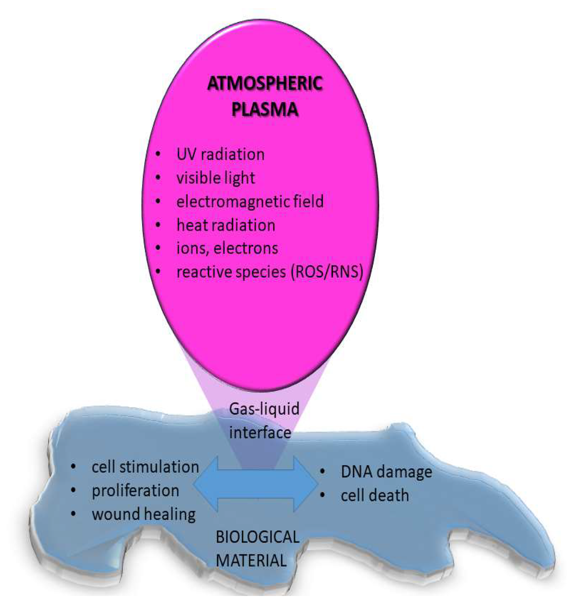 Molecules 26 01903 g006 Molecules 26 01903 g006