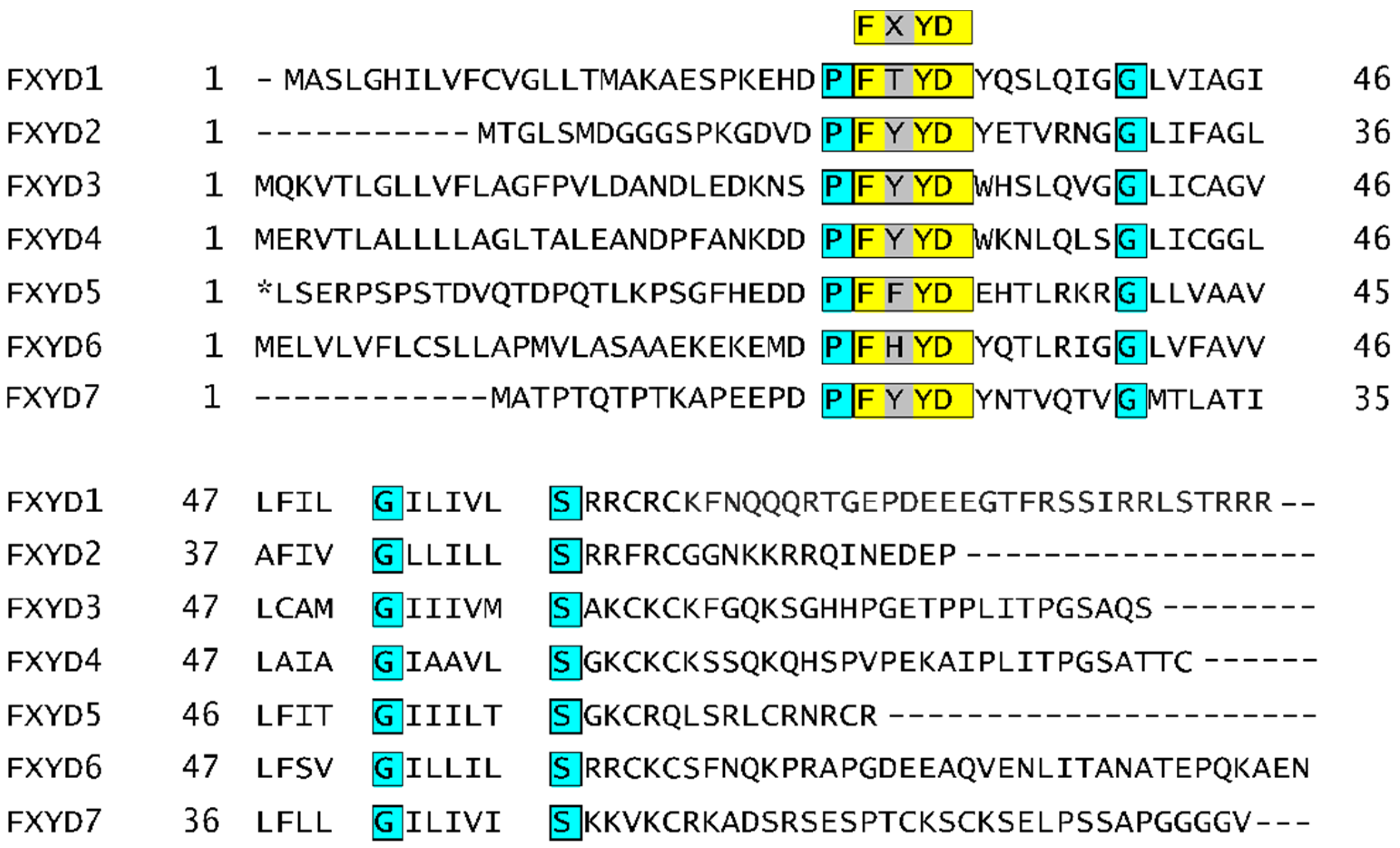 Molecules 26 01905 g002