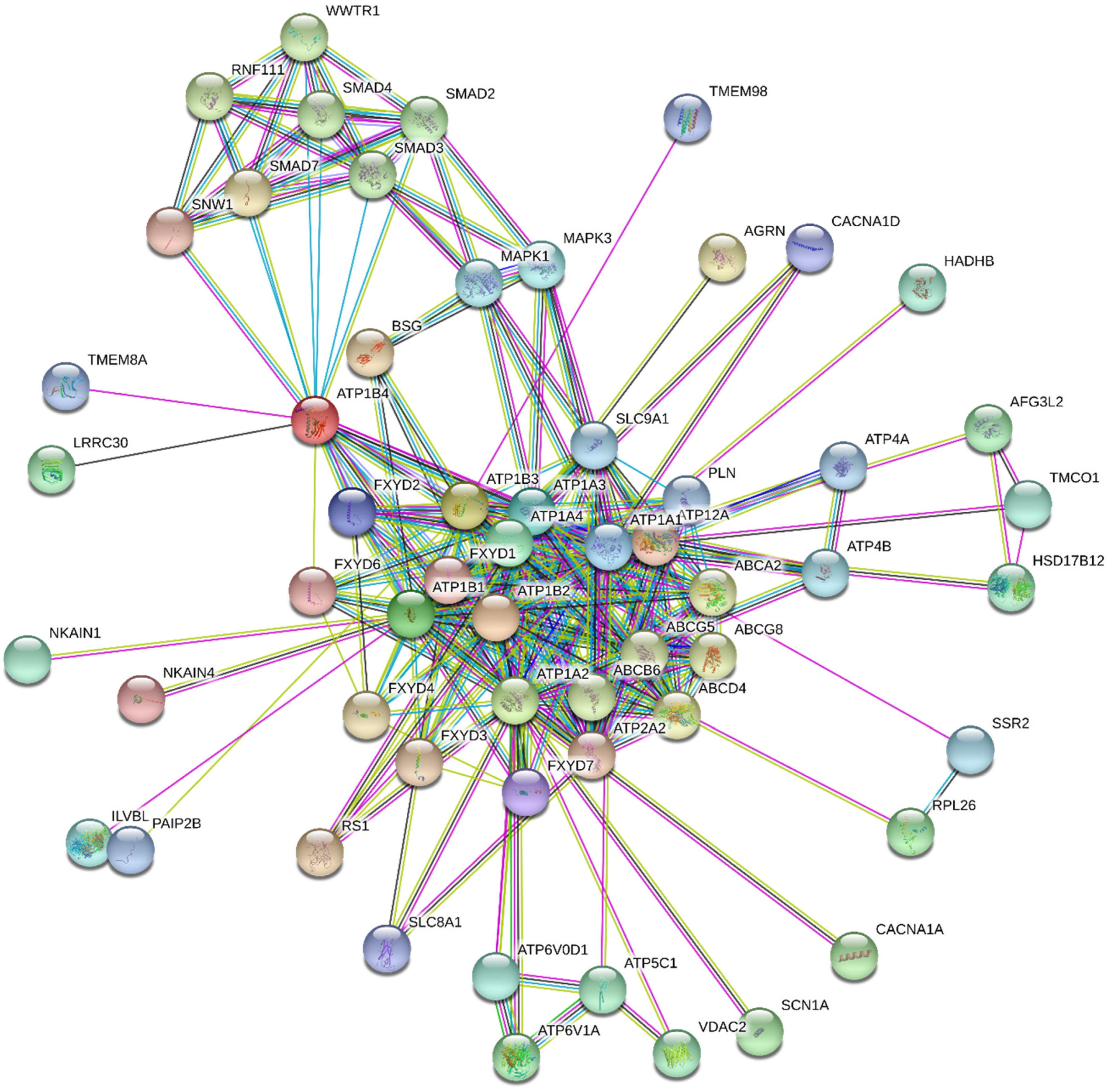 Molecules 26 01905 g006