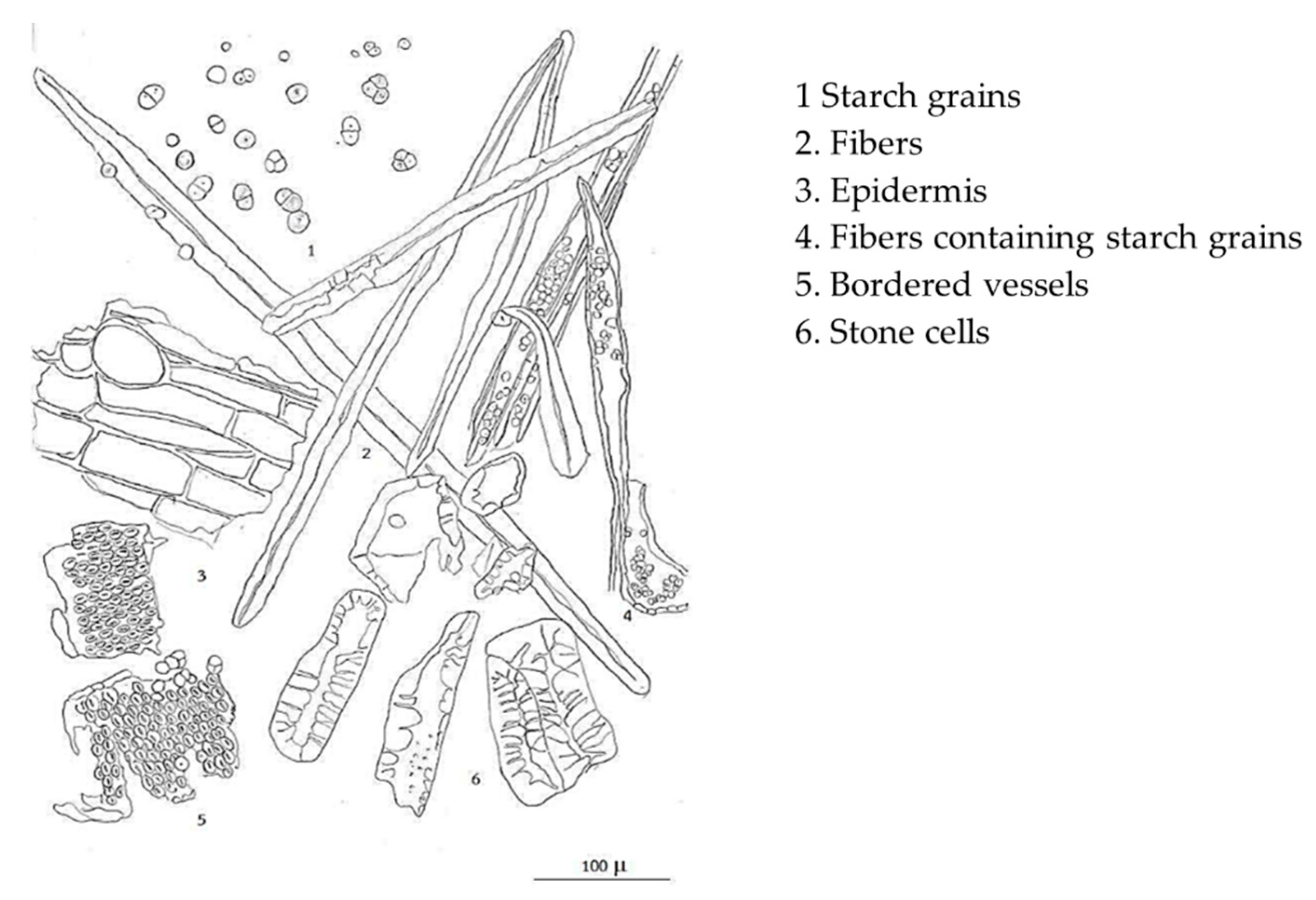 Molecules 26 01906 g002