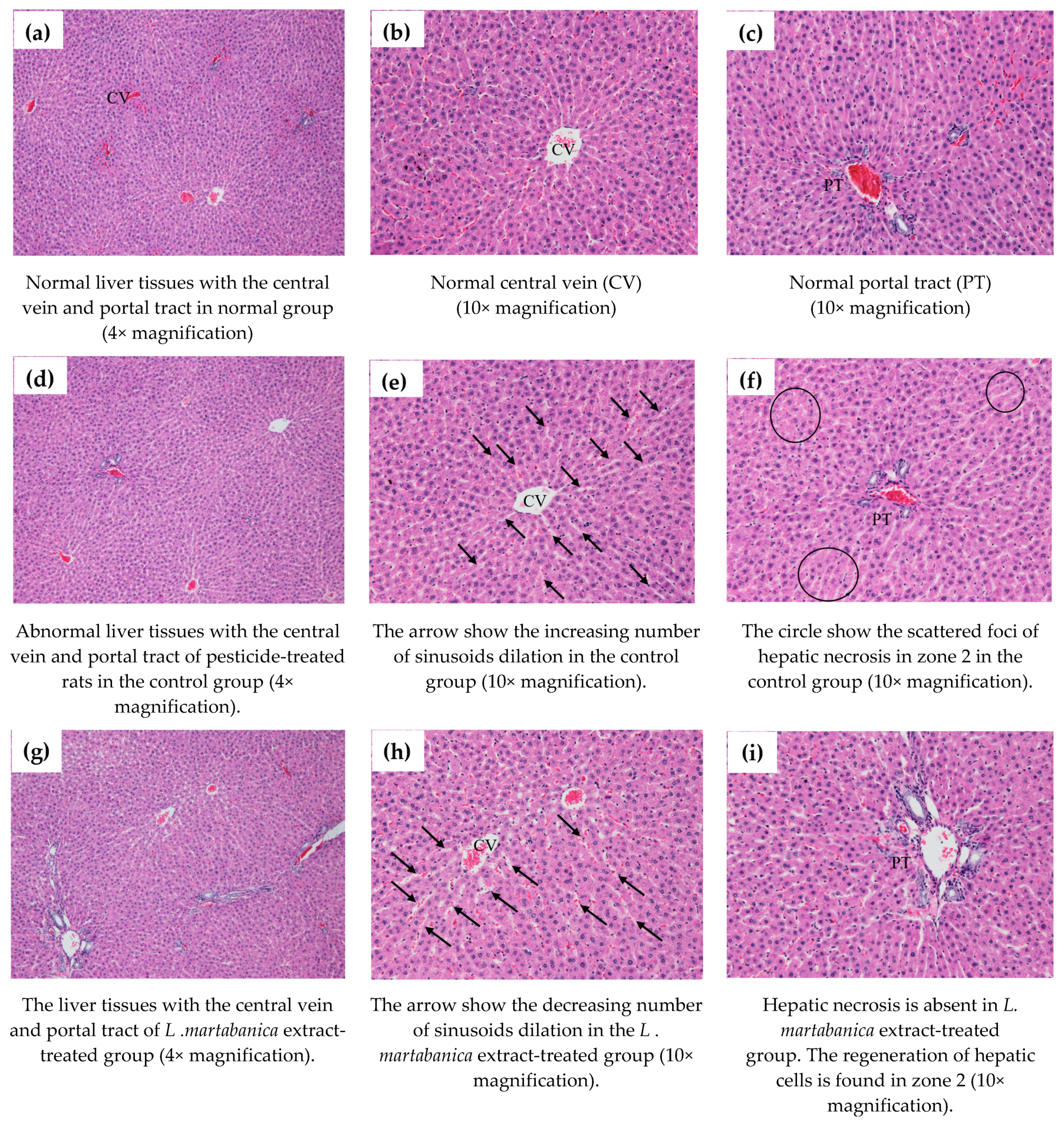 Molecules 26 01906 g009
