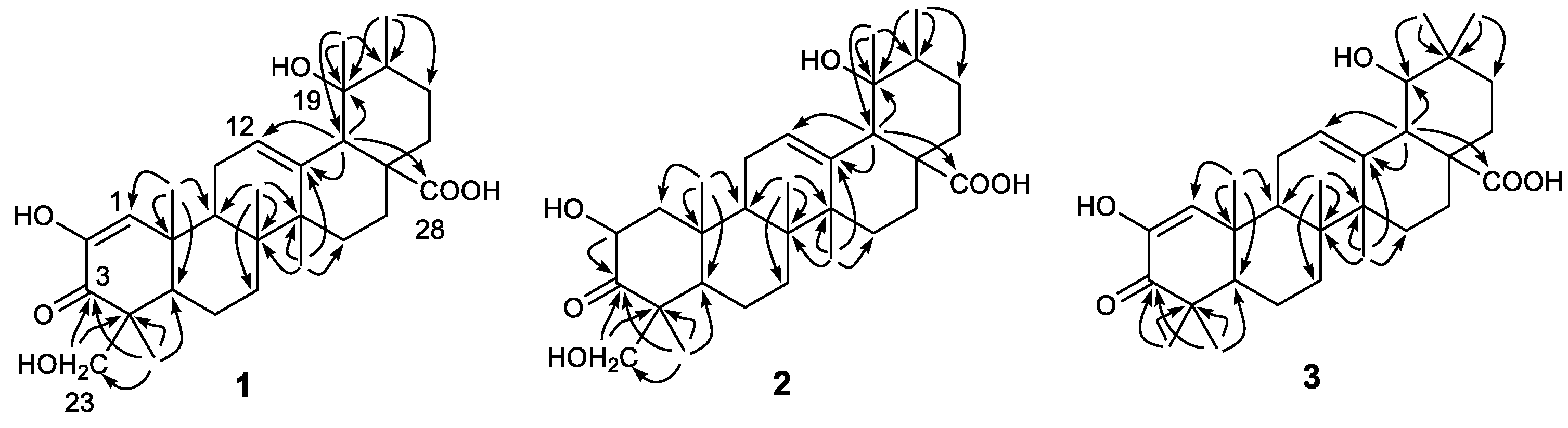 Molecules 26 01911 g002 Molecules 26 01911 g002