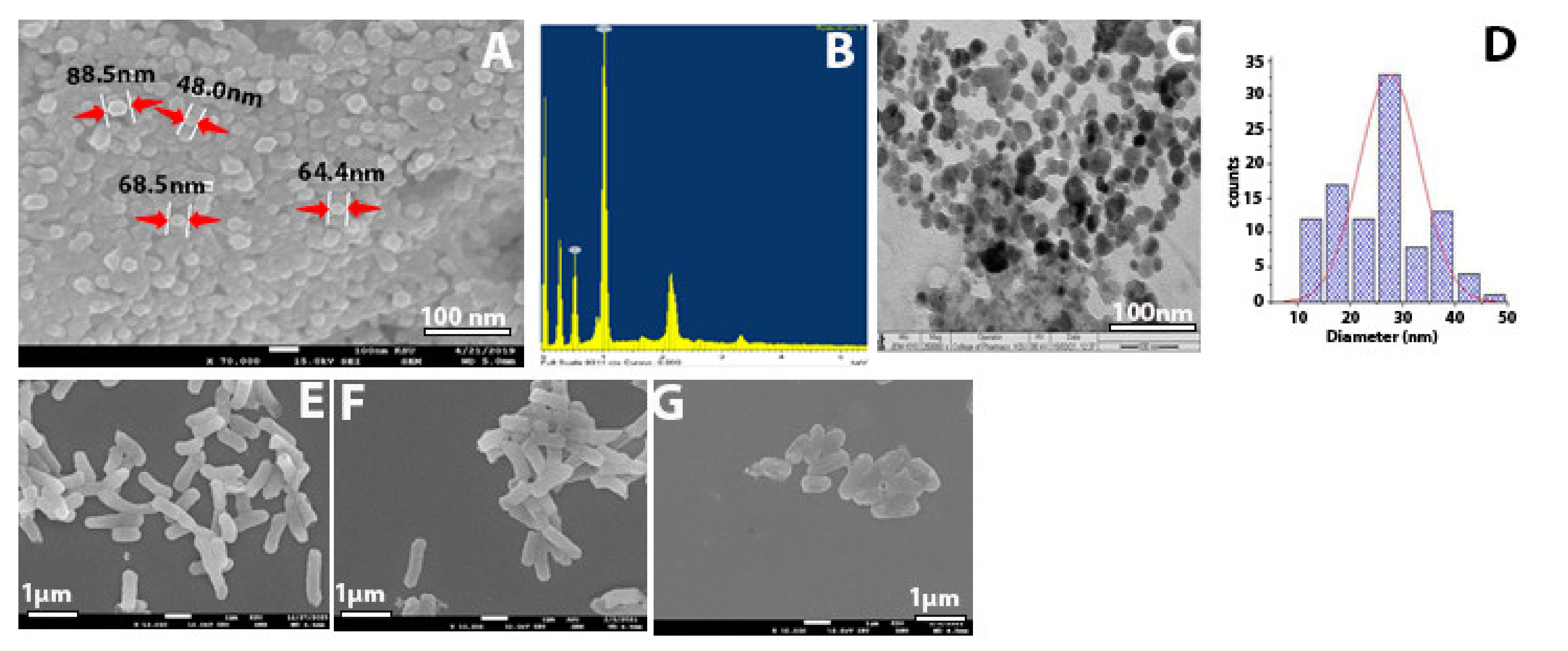 Molecules 26 01919 g003