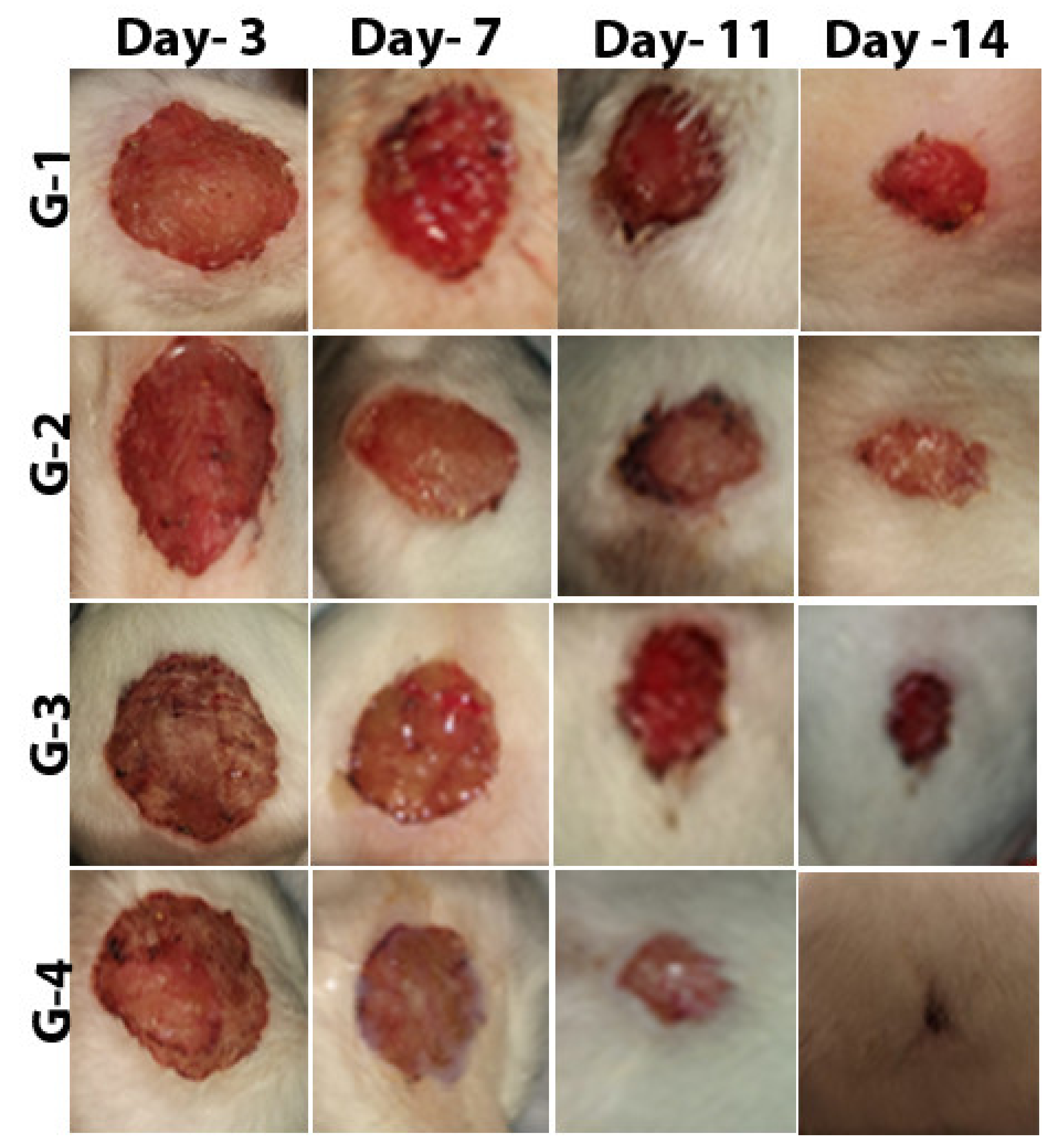 Molecules 26 01919 g006