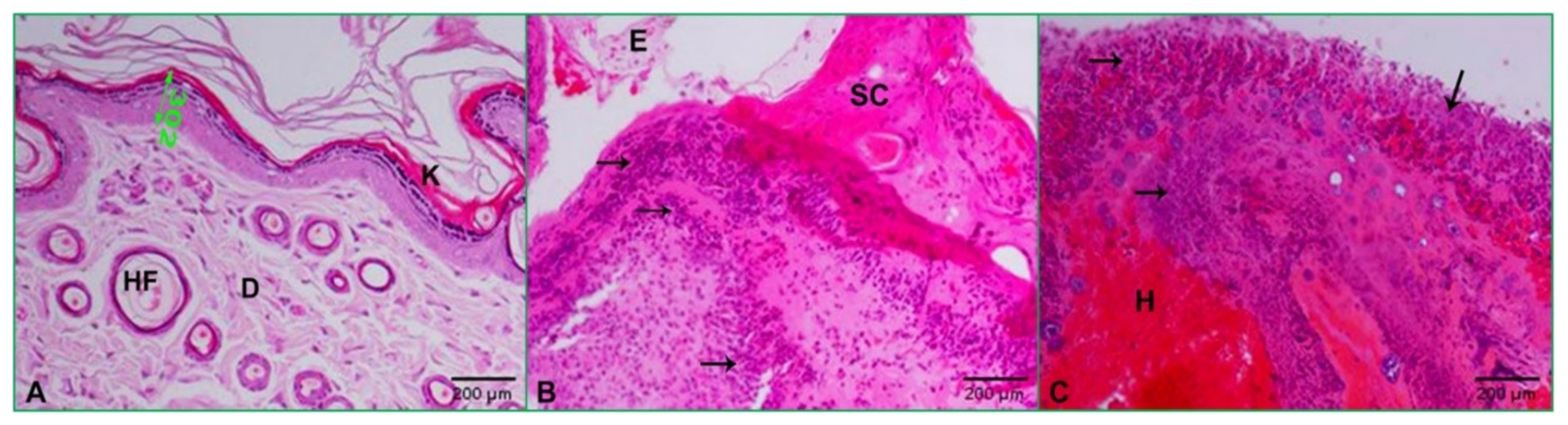 Molecules 26 01919 g007