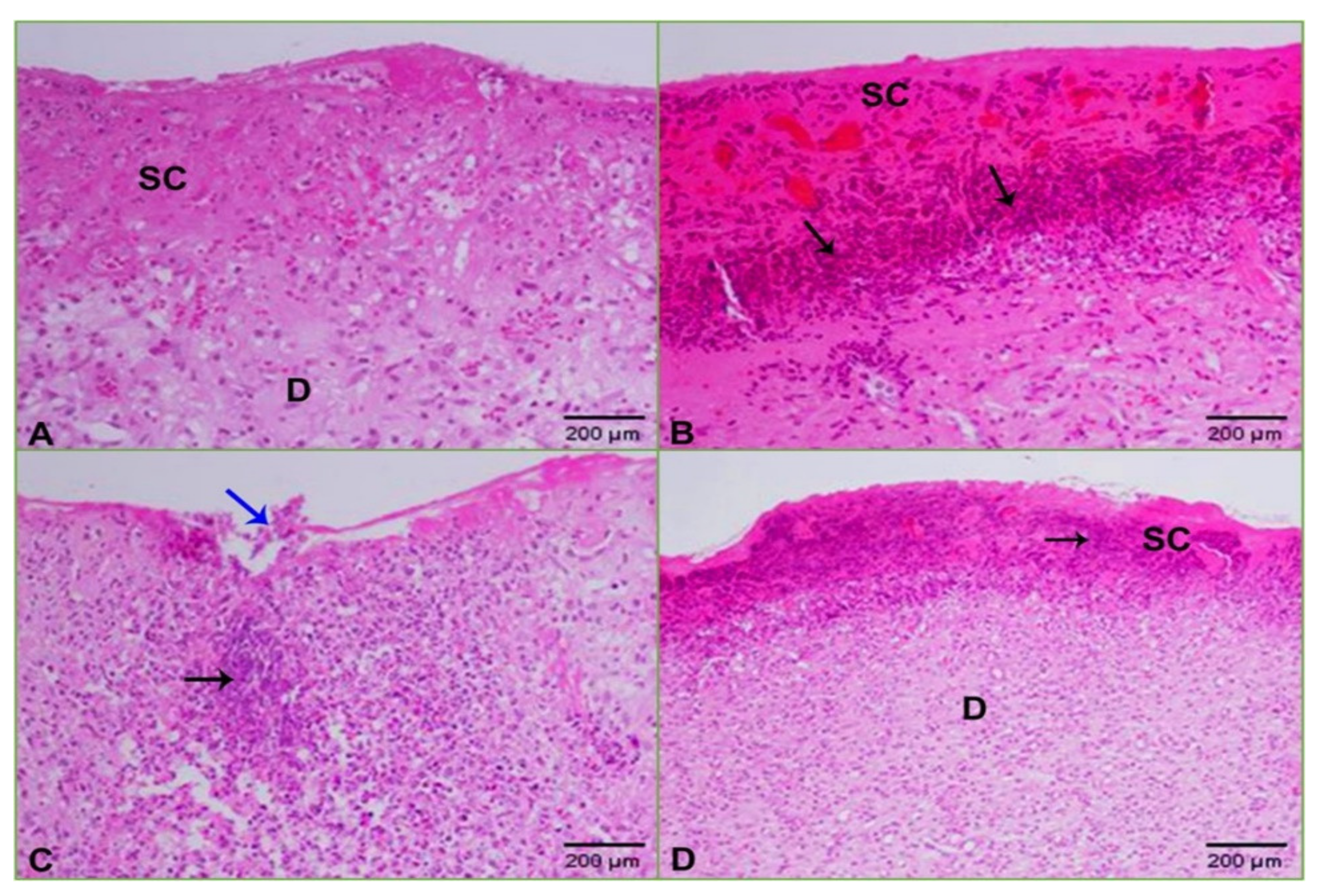 Molecules 26 01919 g008