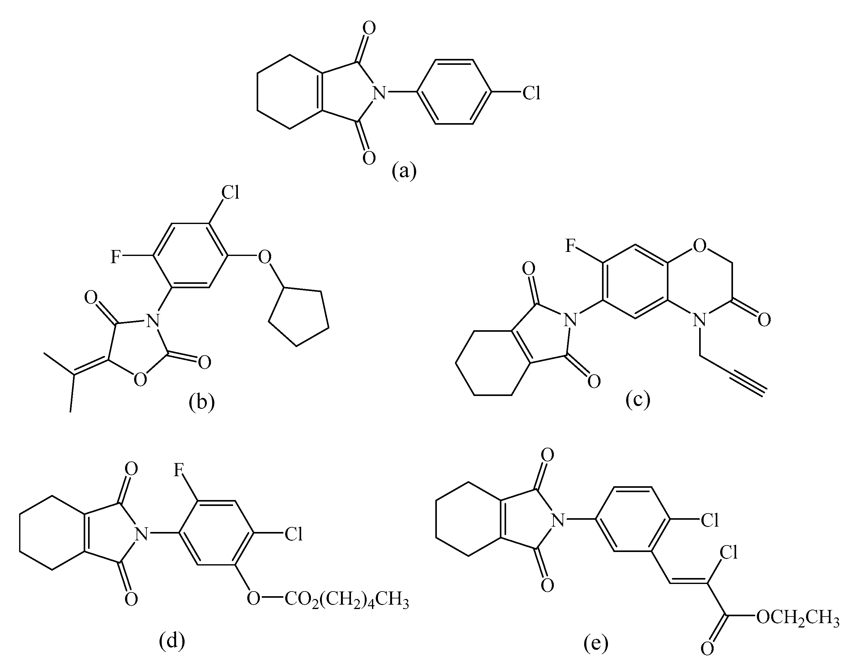 Molecules 26 01923 g001