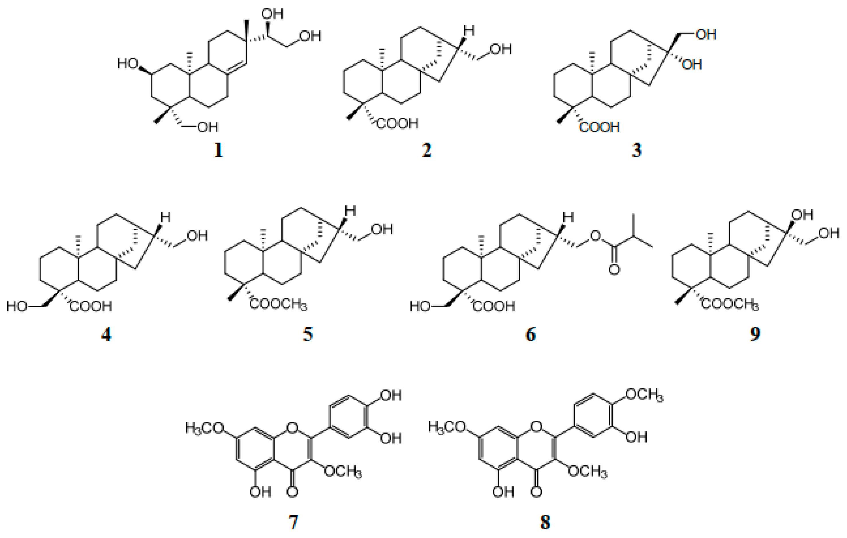 Molecules 26 01940 g003
