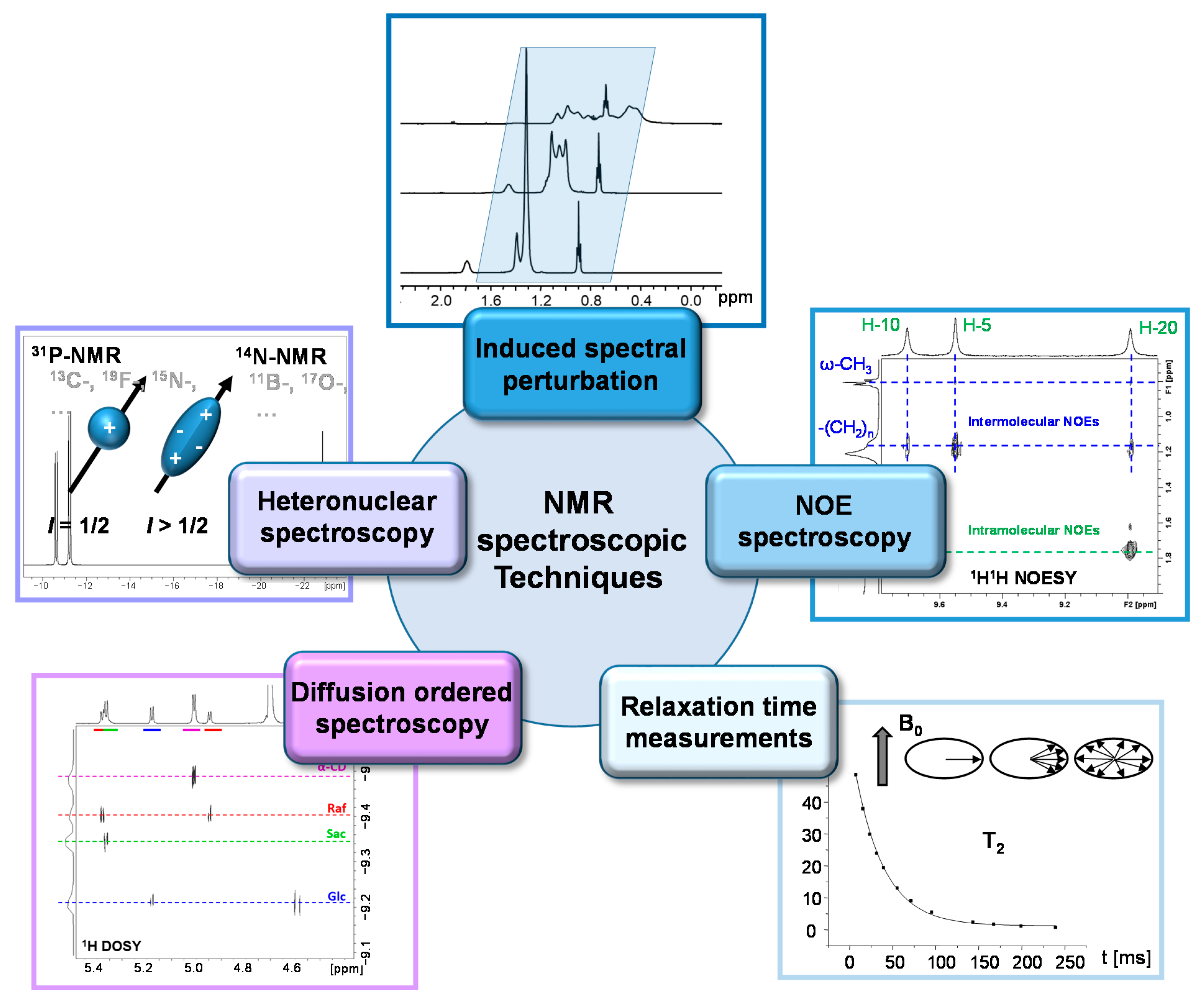 Molecules 26 01942 g004