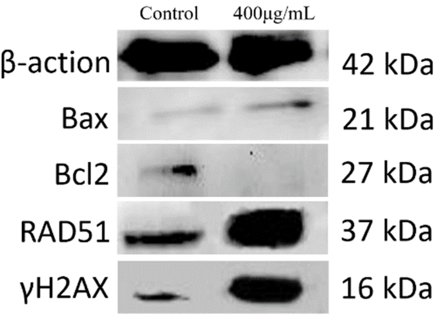 Molecules 26 01949 g006 Molecules 26 01949 g006