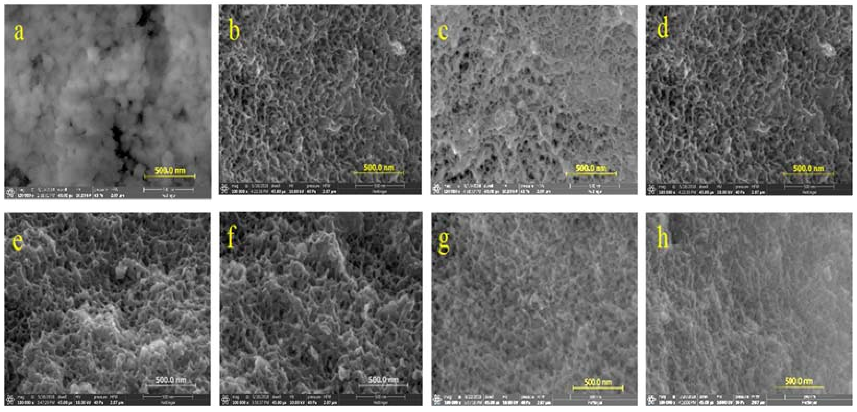 Molecules 26 01962 g003 Molecules 26 01962 g003
