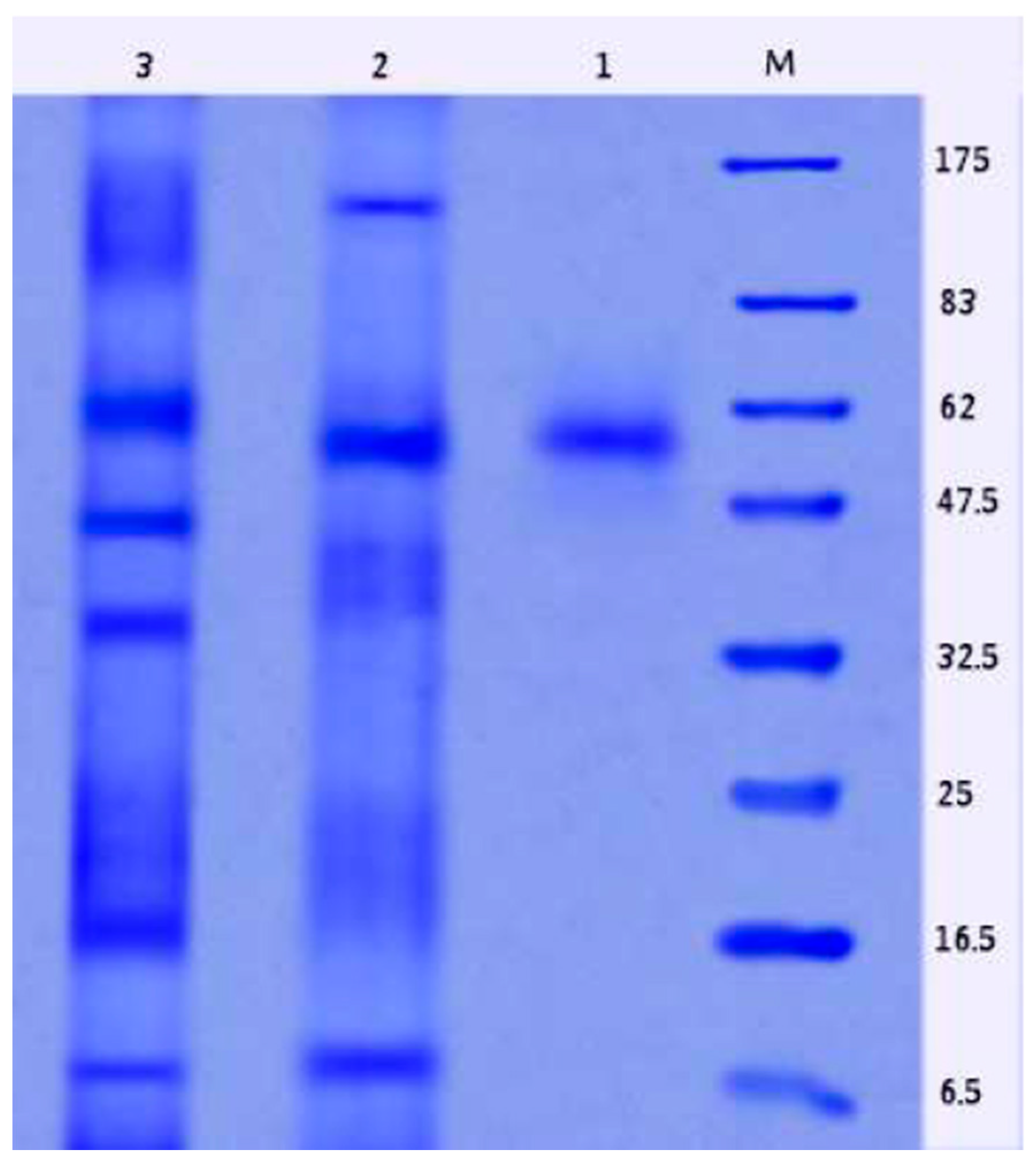 Molecules 26 01963 g008 Molecules 26 01963 g008