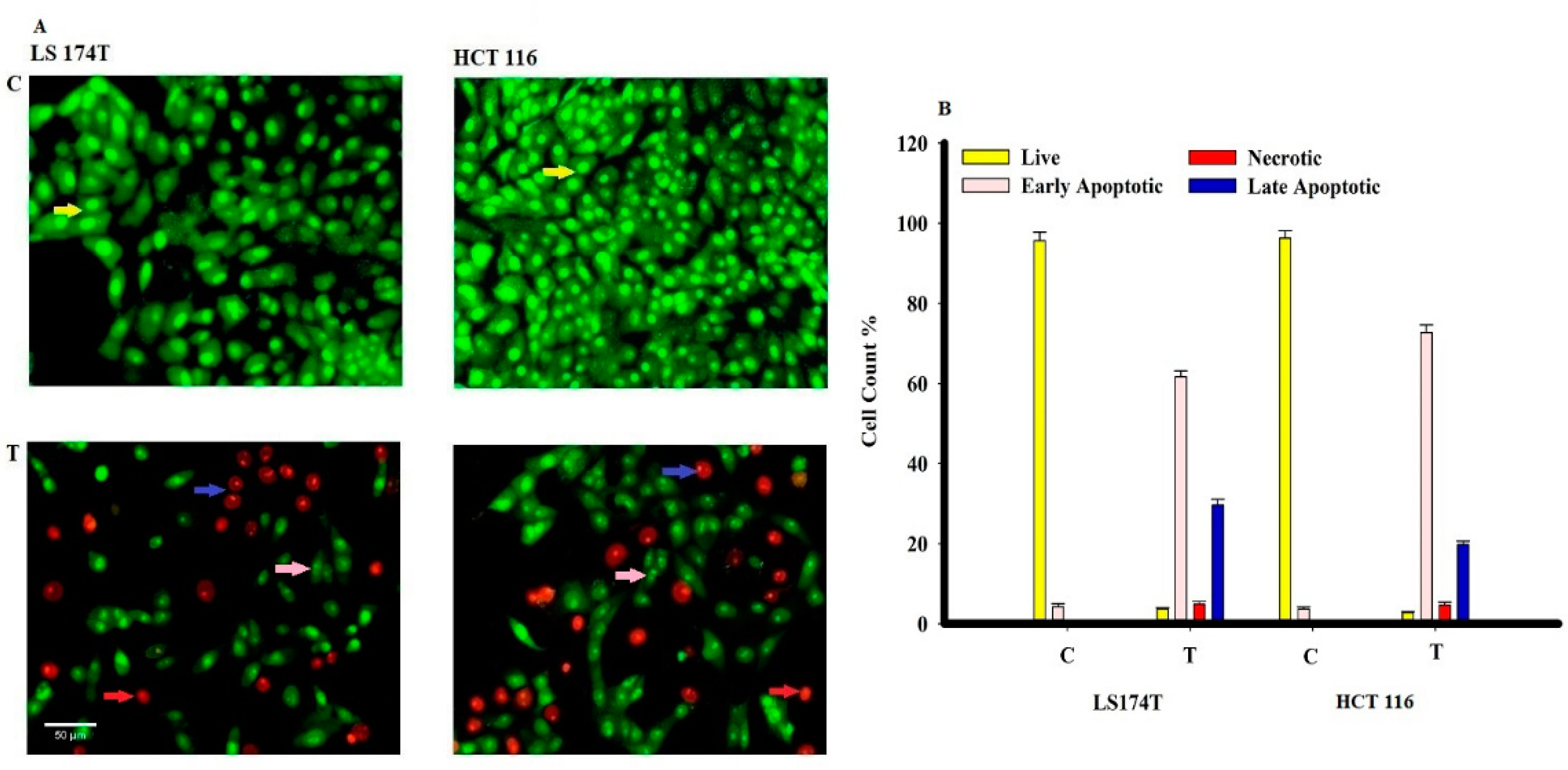 Molecules 26 01963 g011 Molecules 26 01963 g011