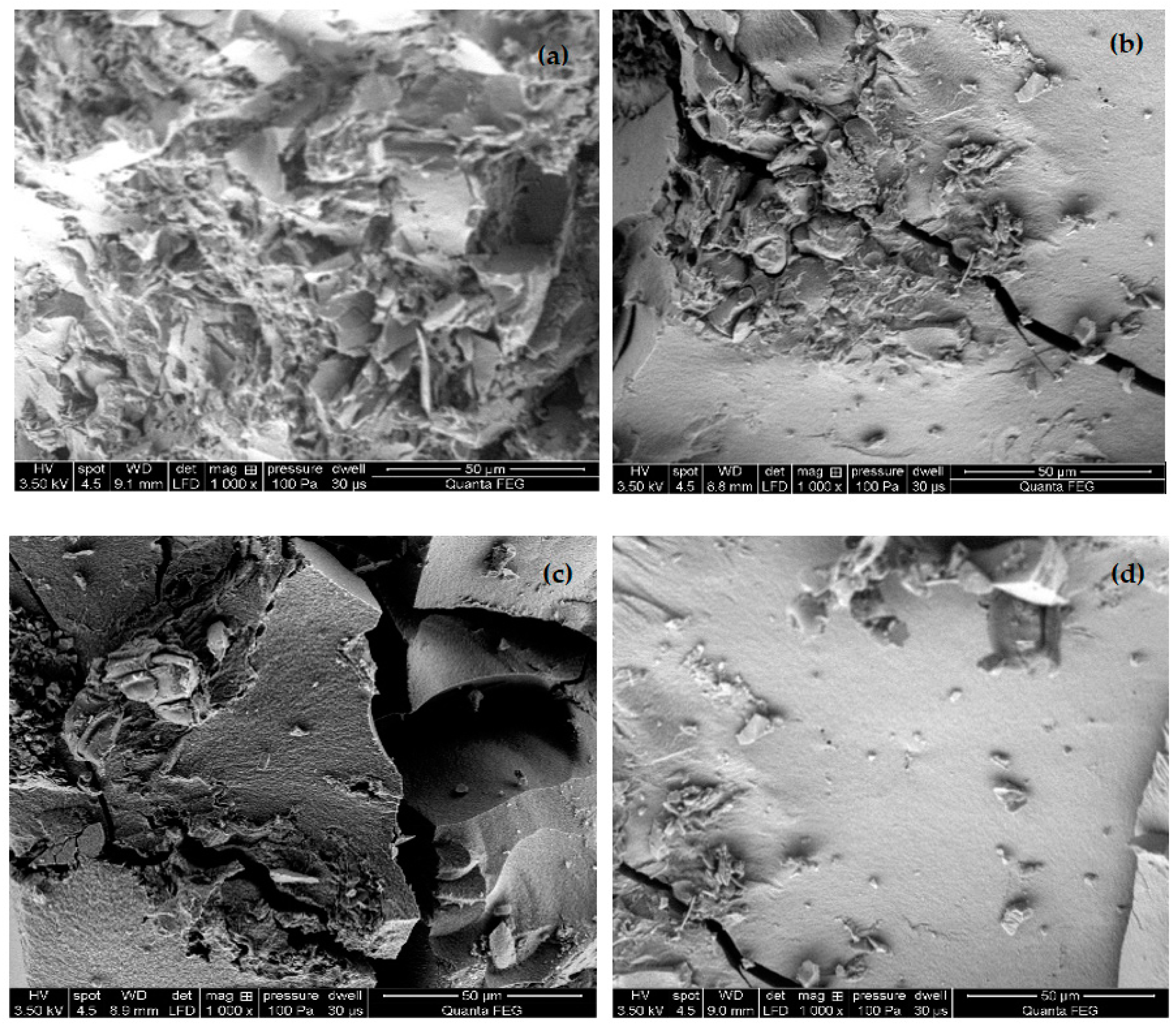 Molecules 26 01976 g002