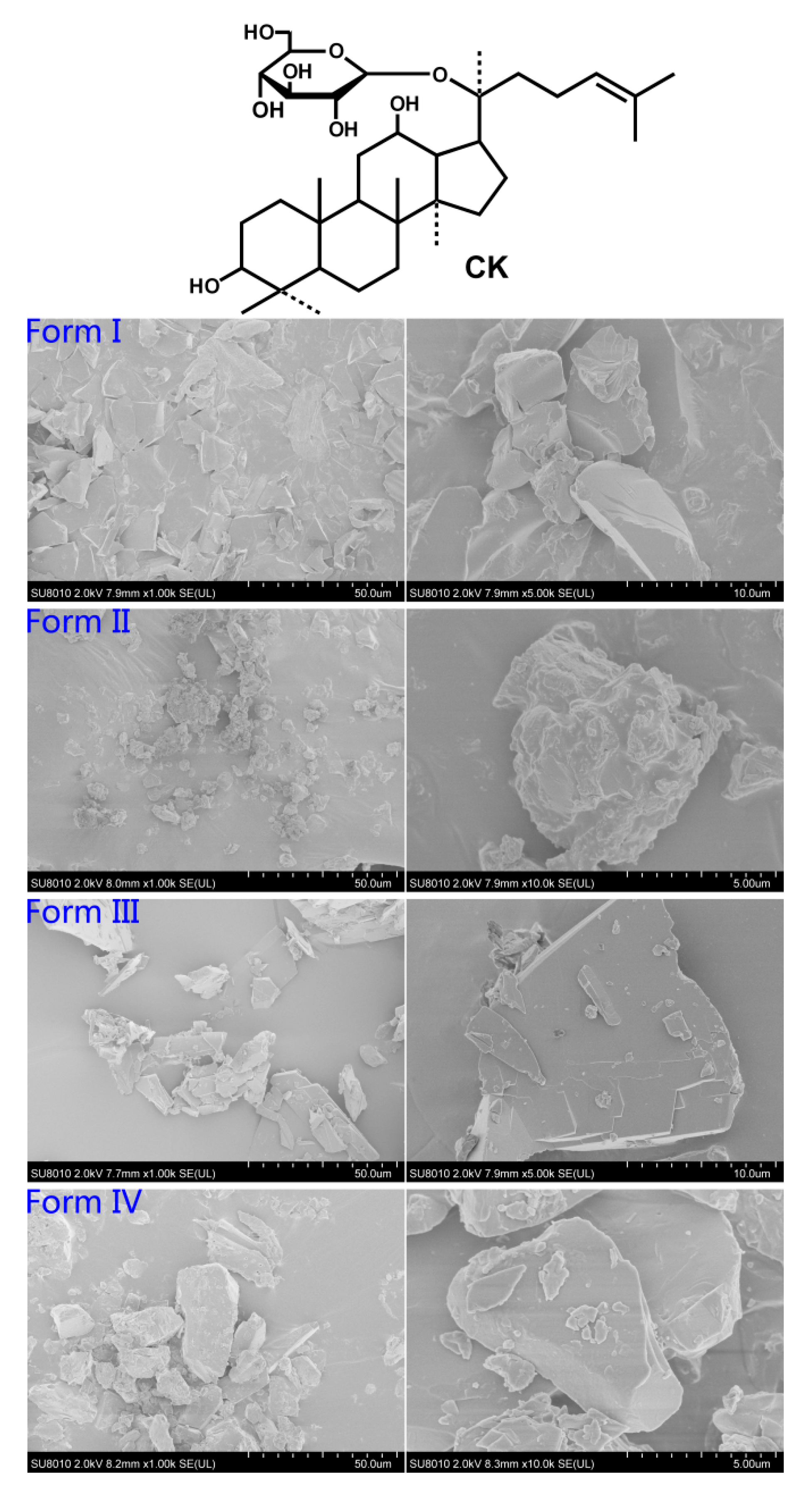 Molecules 26 01983 g001 Molecules 26 01983 g001