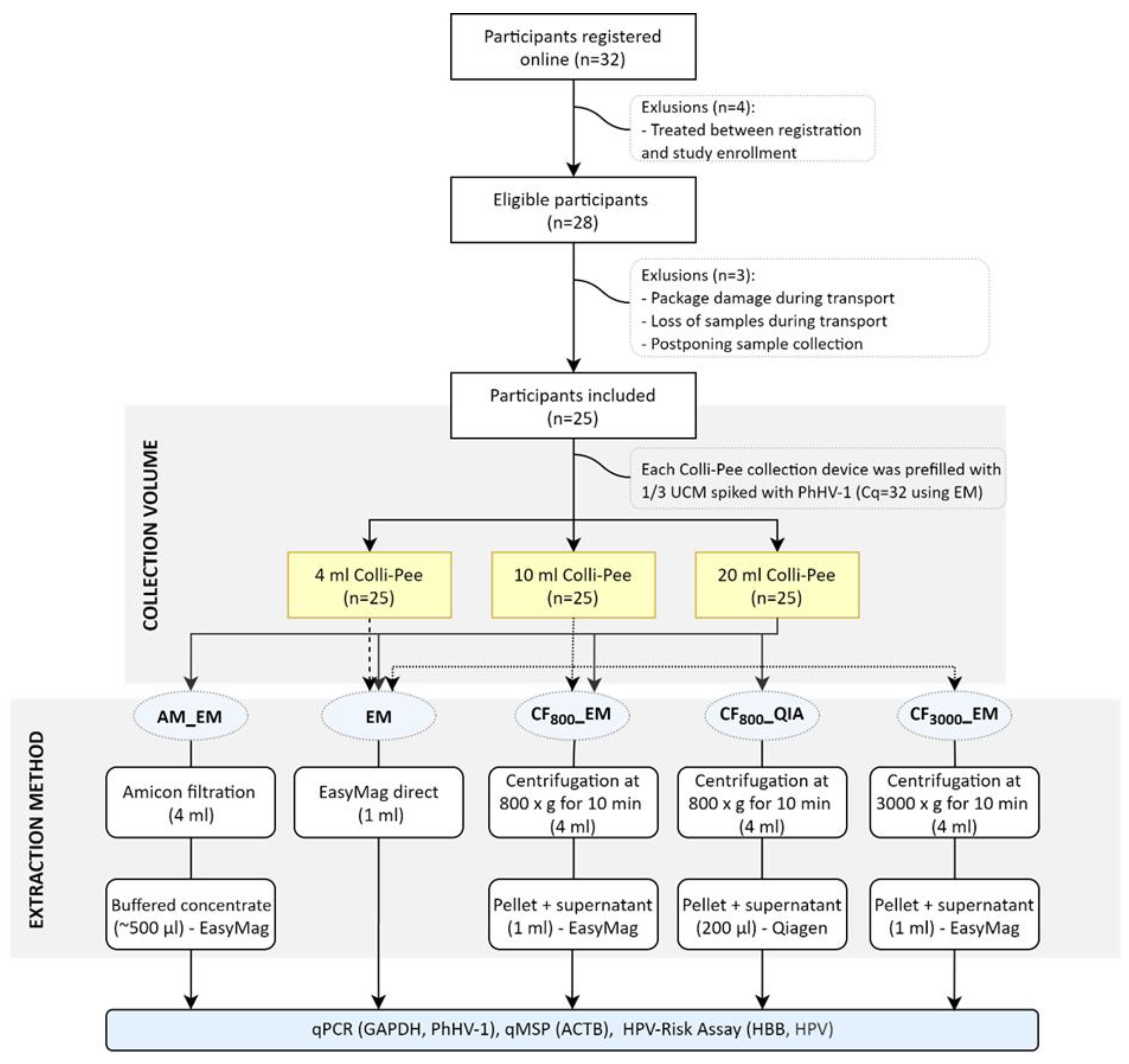 Molecules 26 01989 g001 Molecules 26 01989 g001