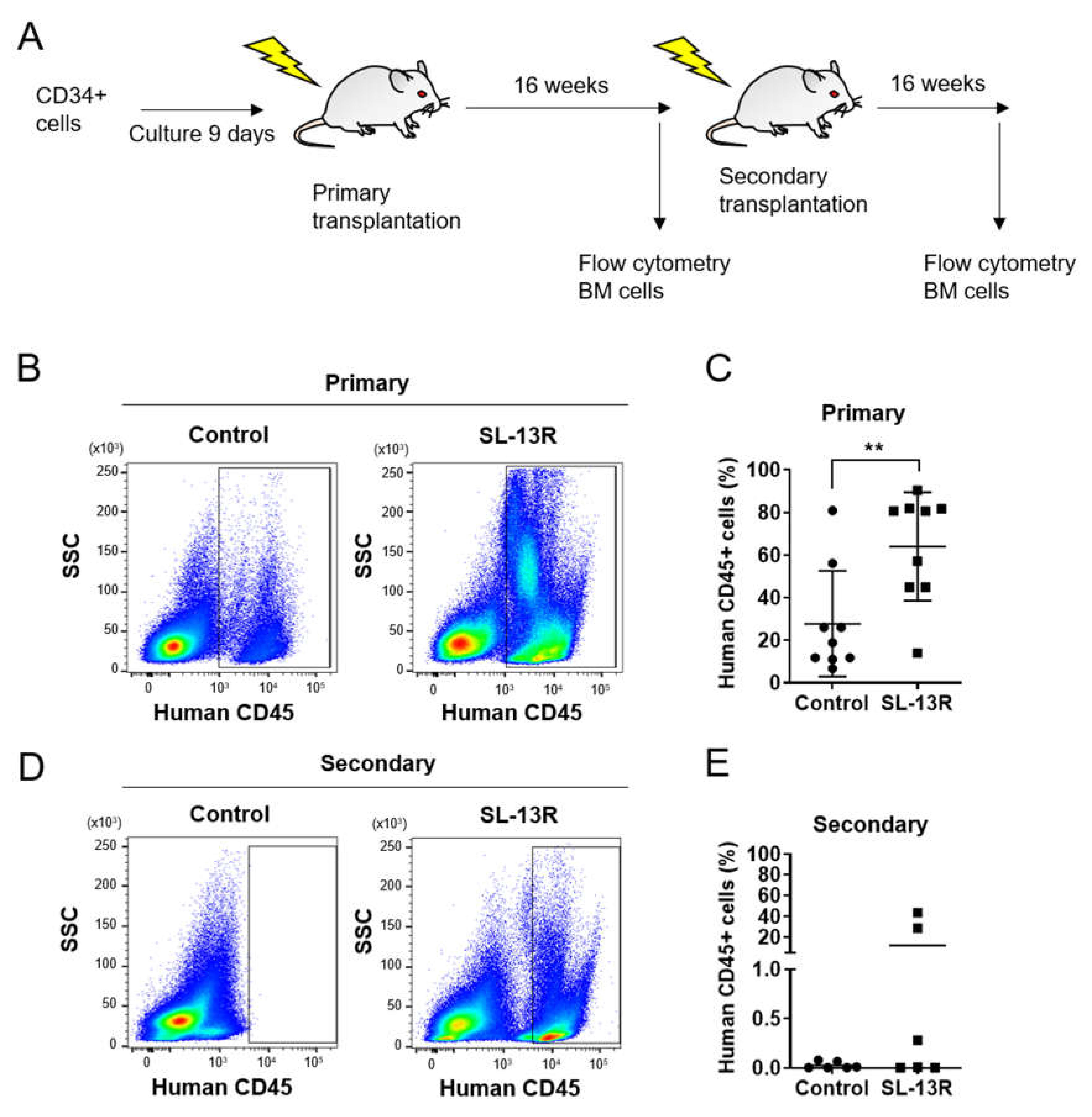 Molecules 26 01995 g002