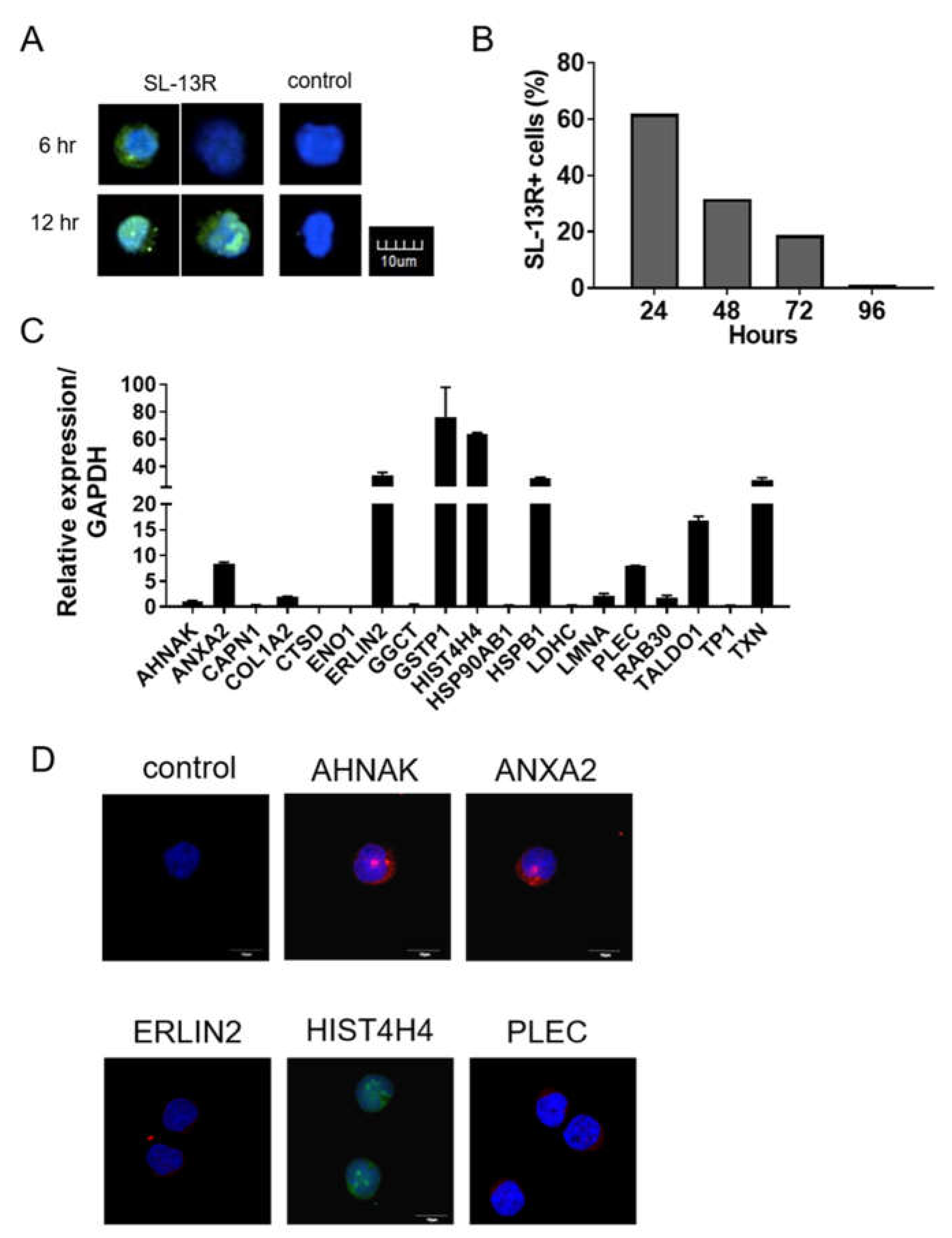 Molecules 26 01995 g004