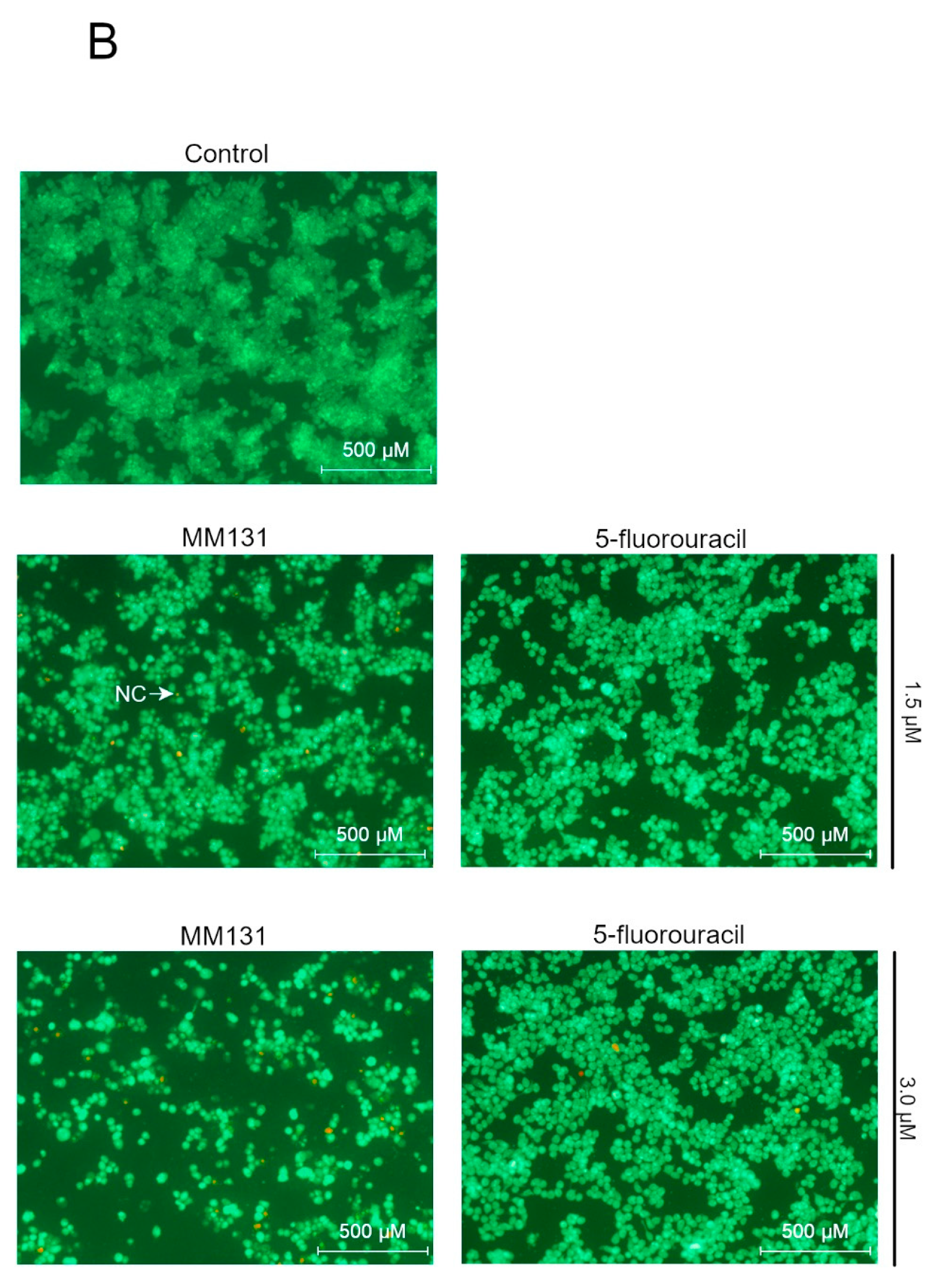 Molecules 26 02045 g004b Molecules 26 02045 g004b