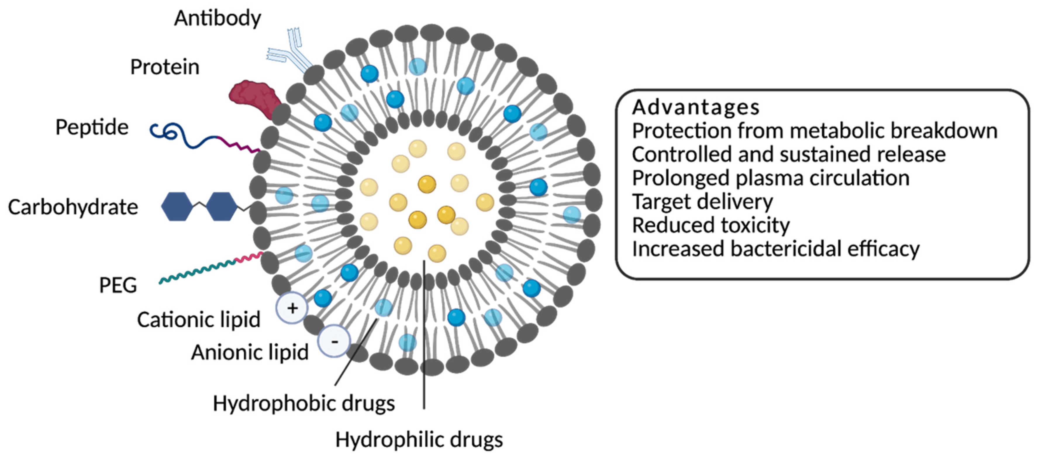 Molecules 26 02047 g001 Molecules 26 02047 g001