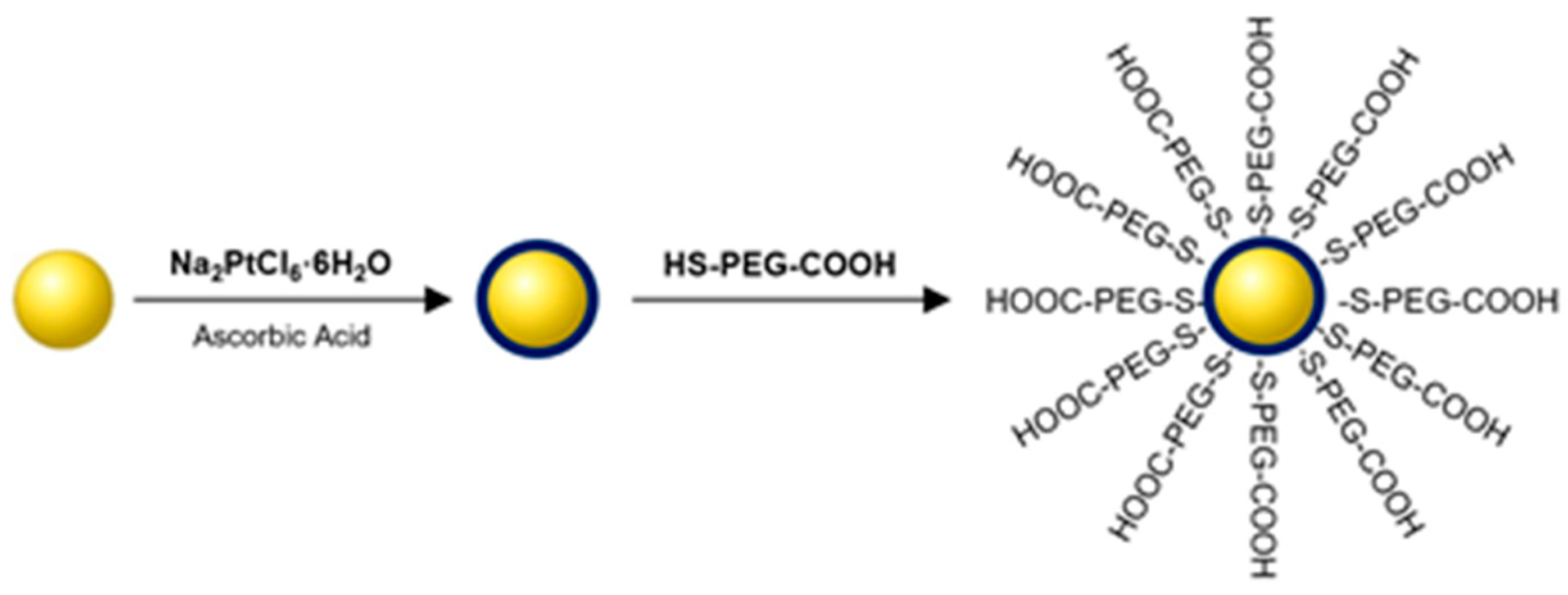 Molecules 26 02051 g004
