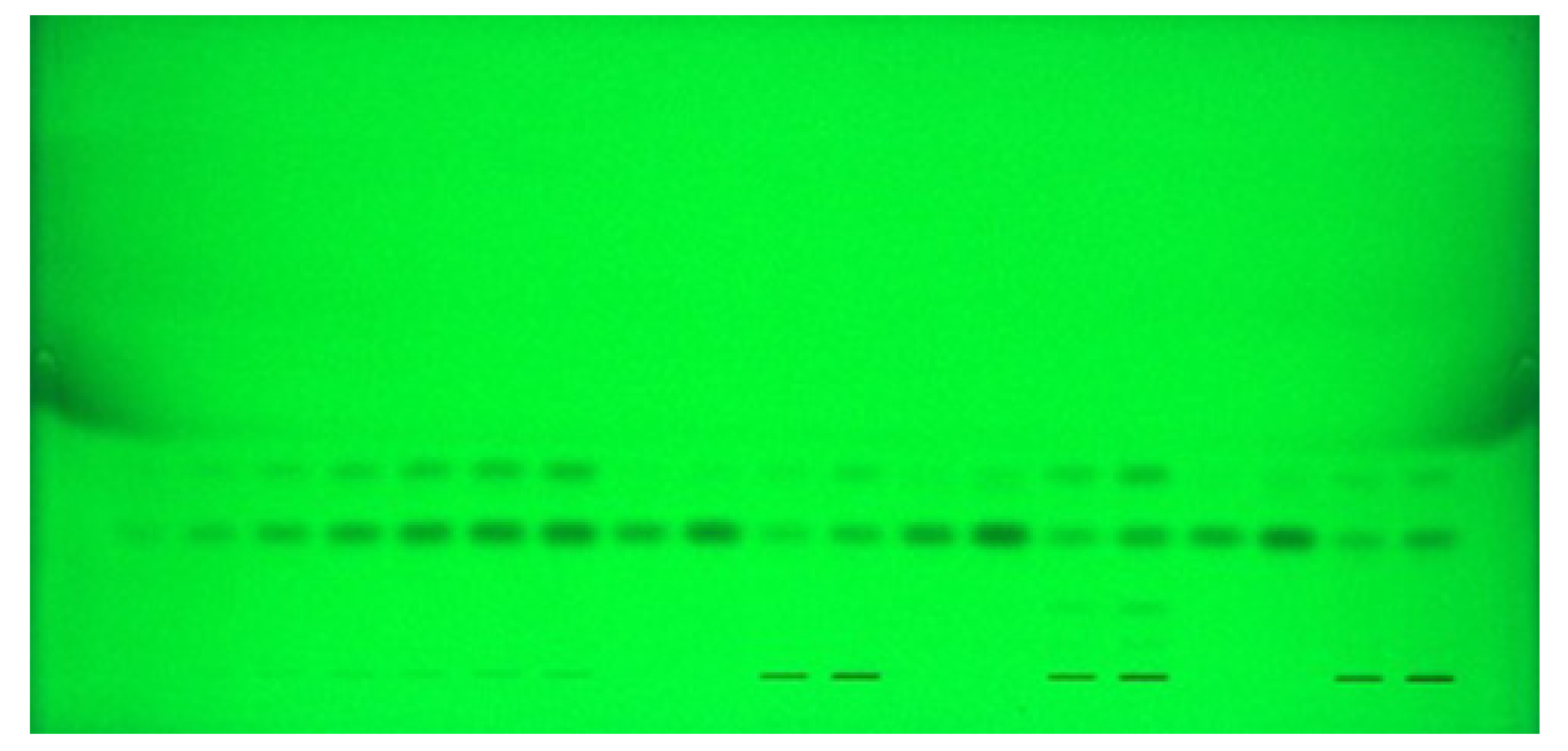 Molecules 26 02054 g001 Molecules 26 02054 g001
